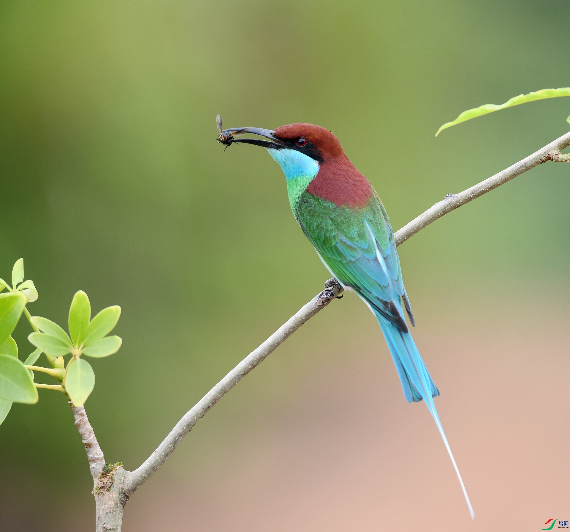 DSC_1195.jpg