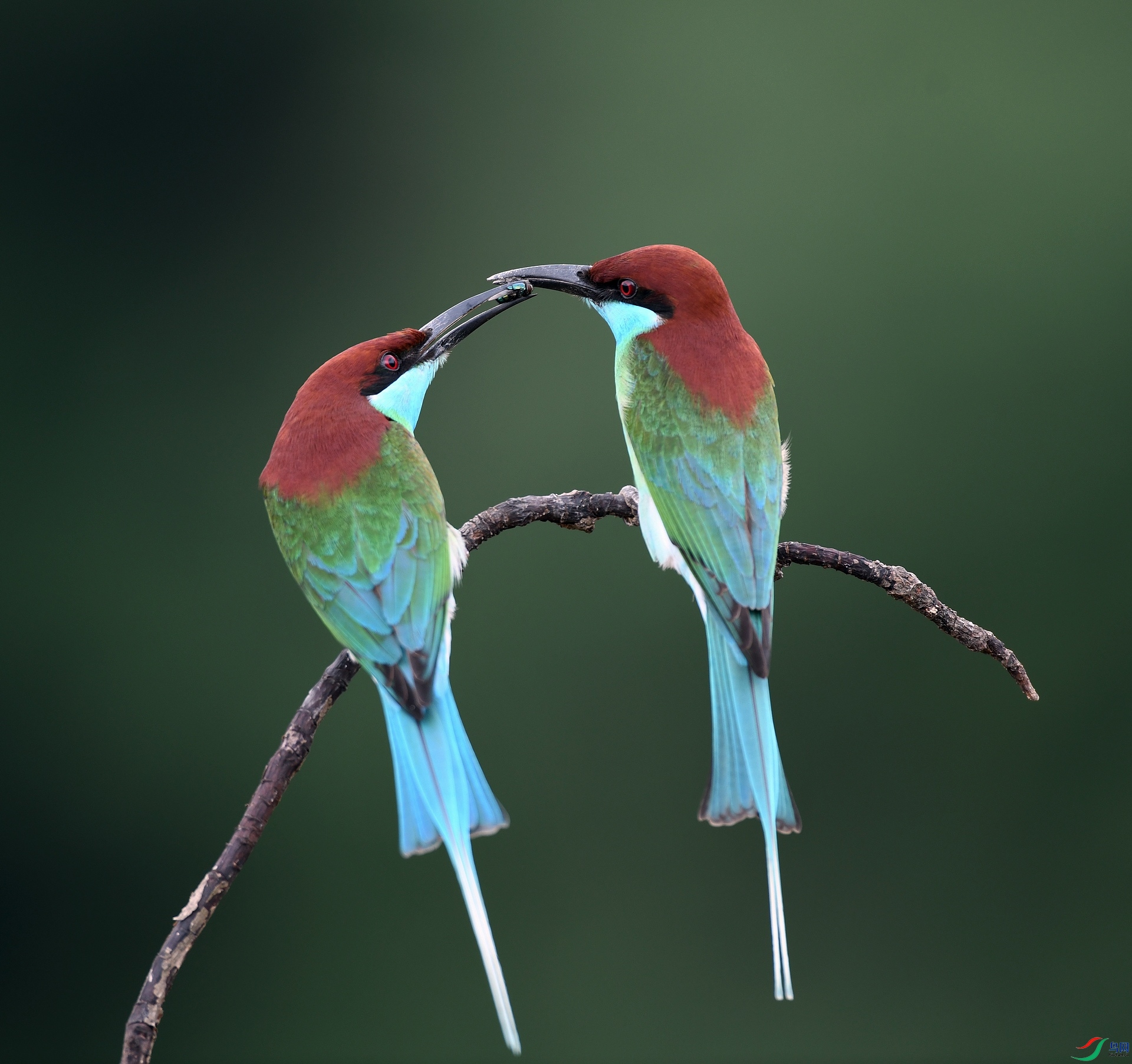 DSC_1074.jpg