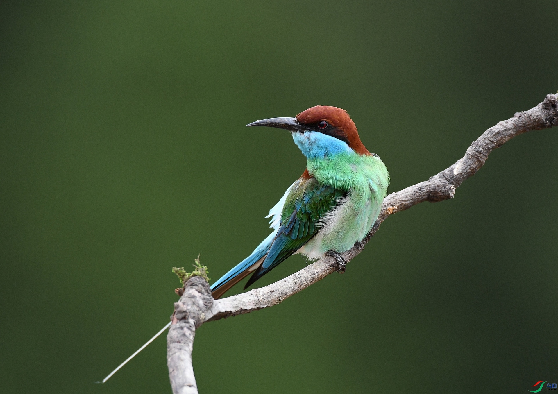 DSC_9072.jpg