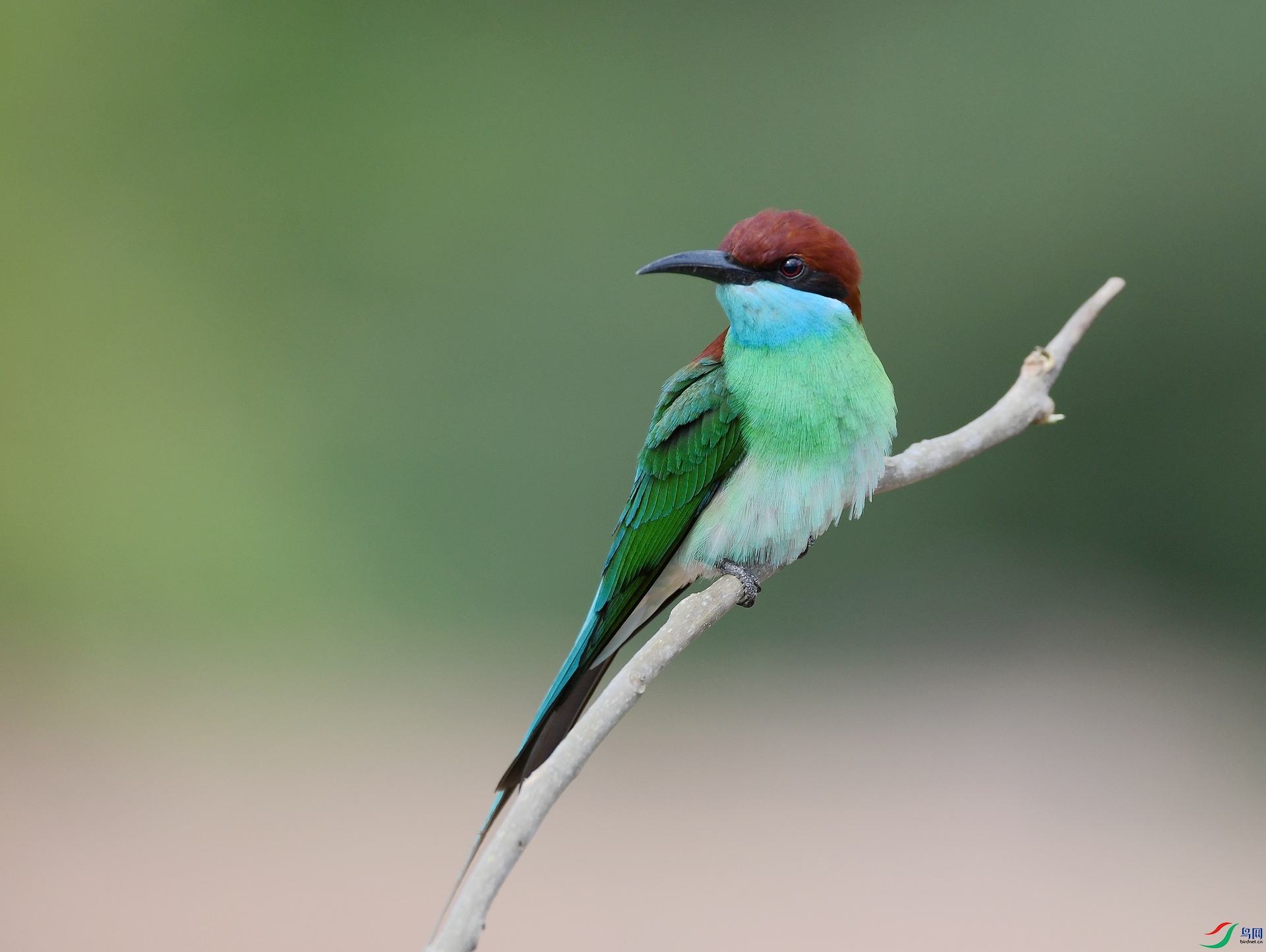 DSC_1400.jpg