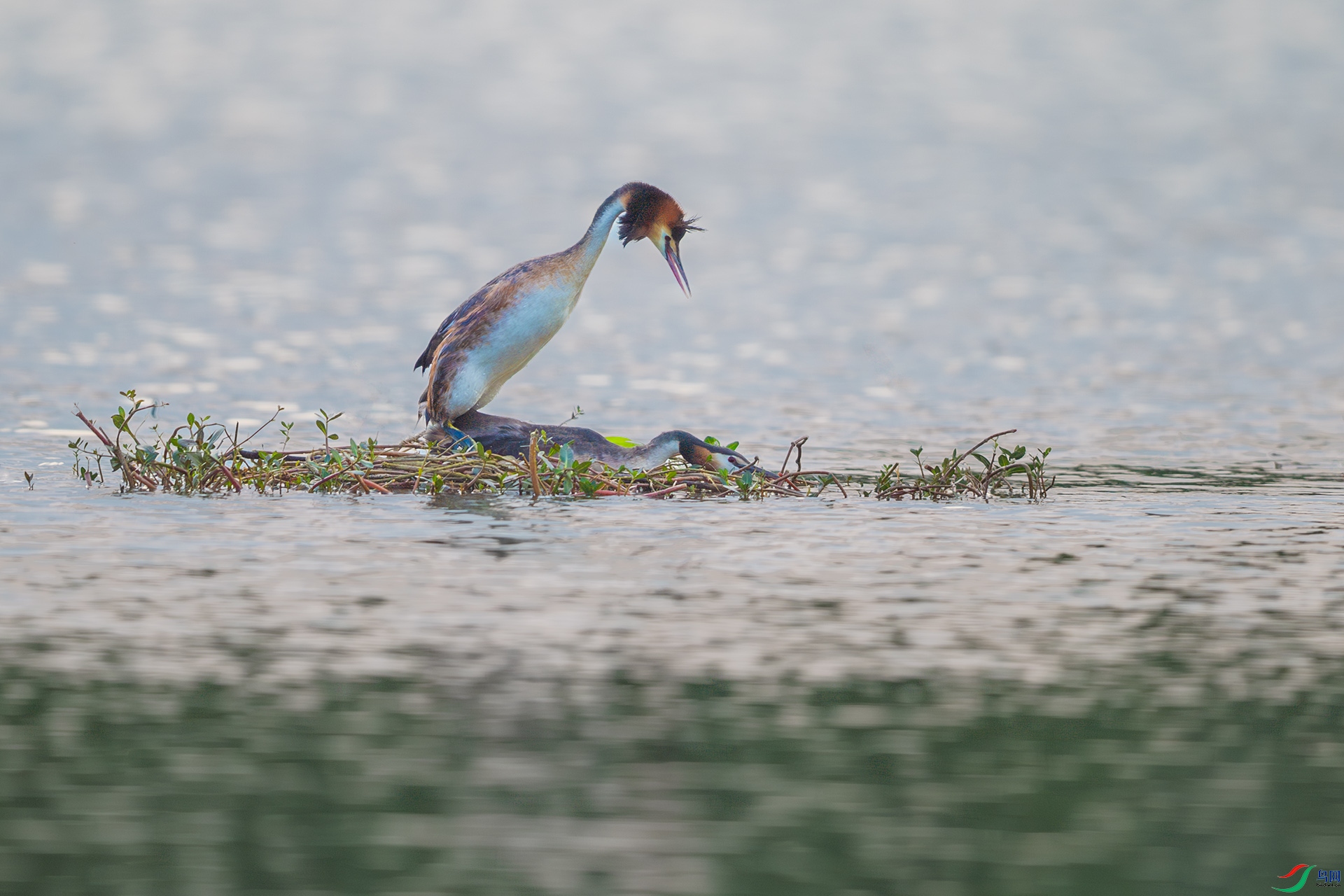 DSC_7496.jpg