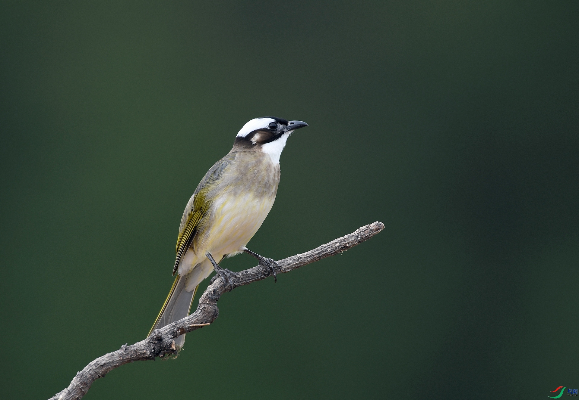 DSC_5749.jpg