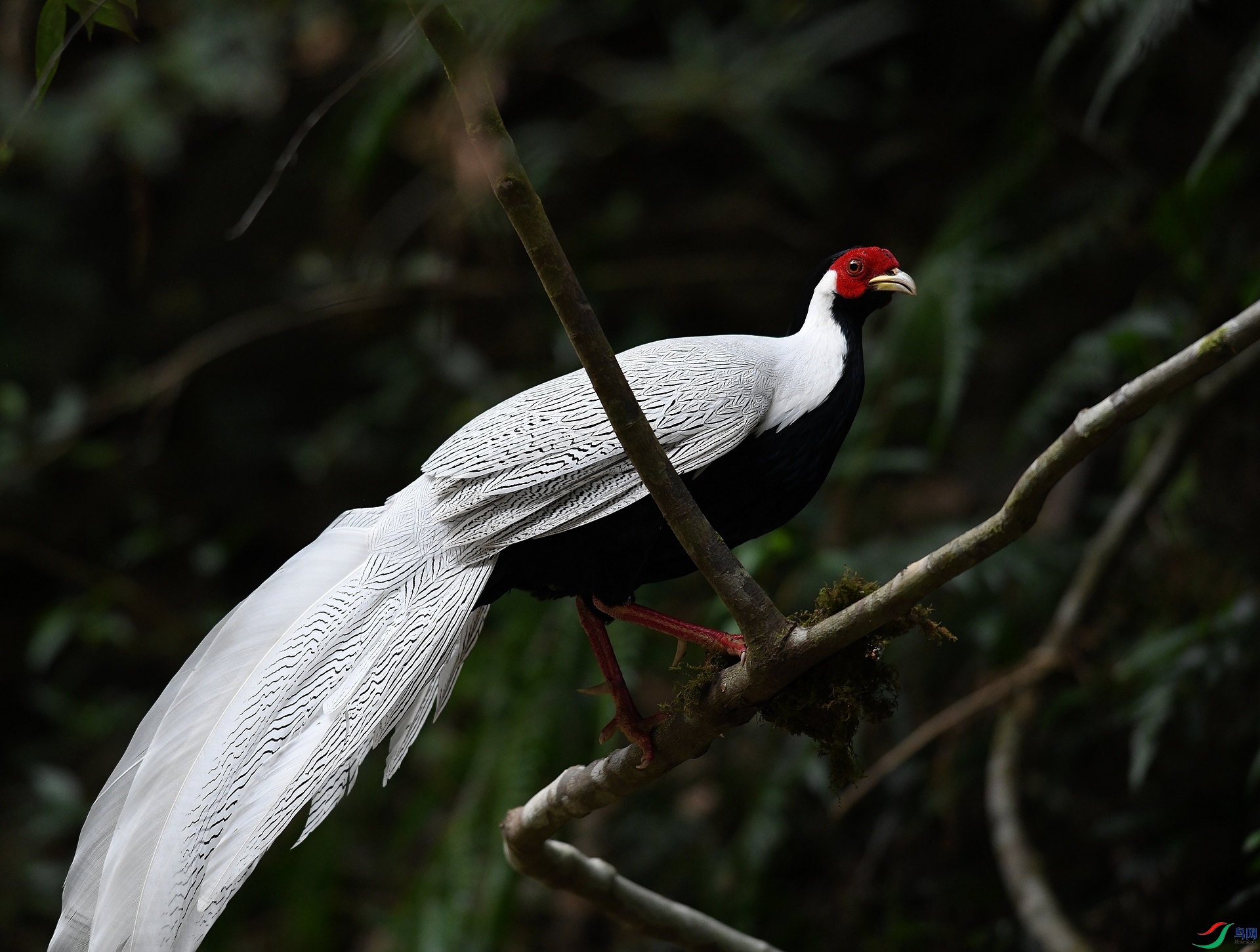 DSC_9070.jpg