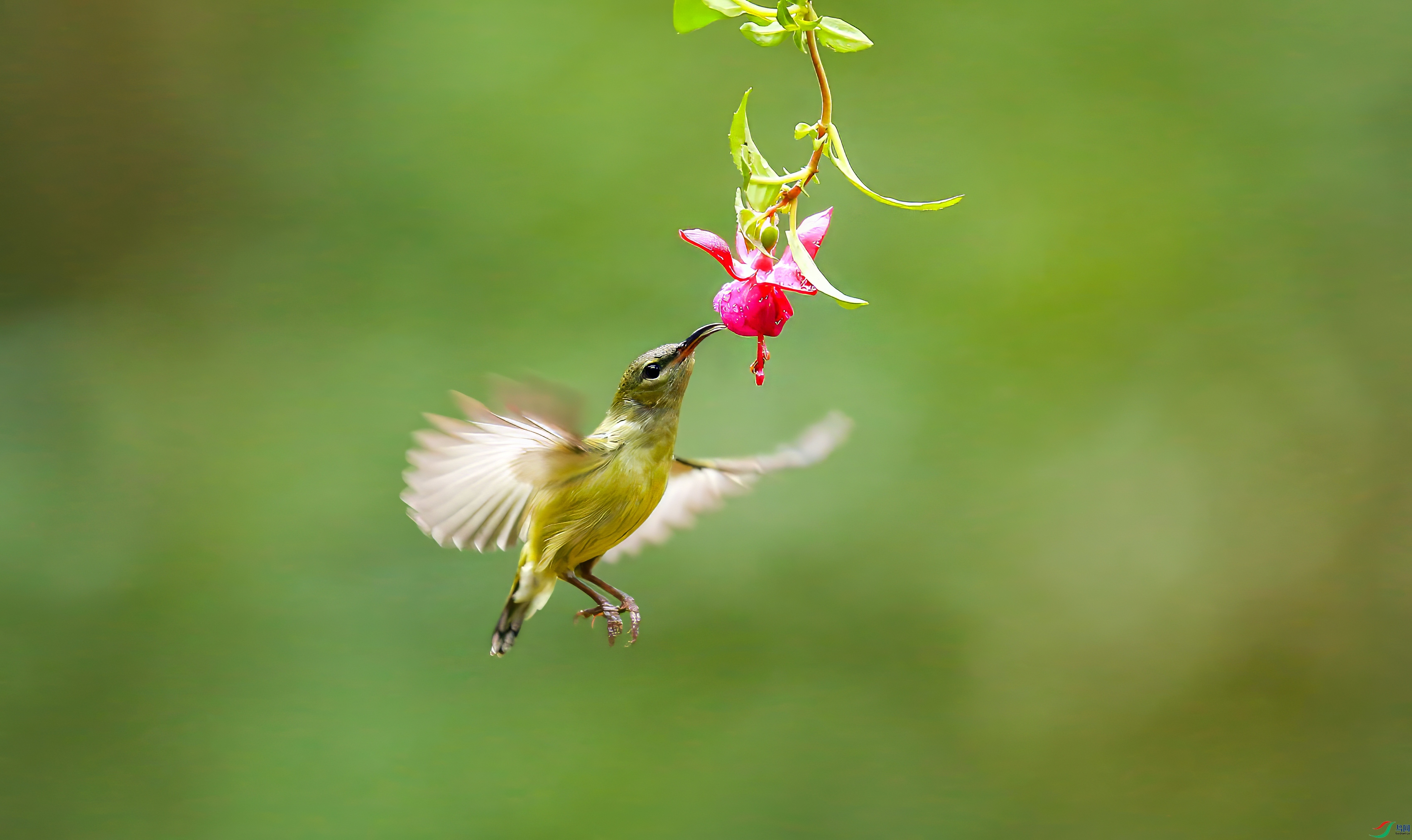 AY8Q0364_����.jpg