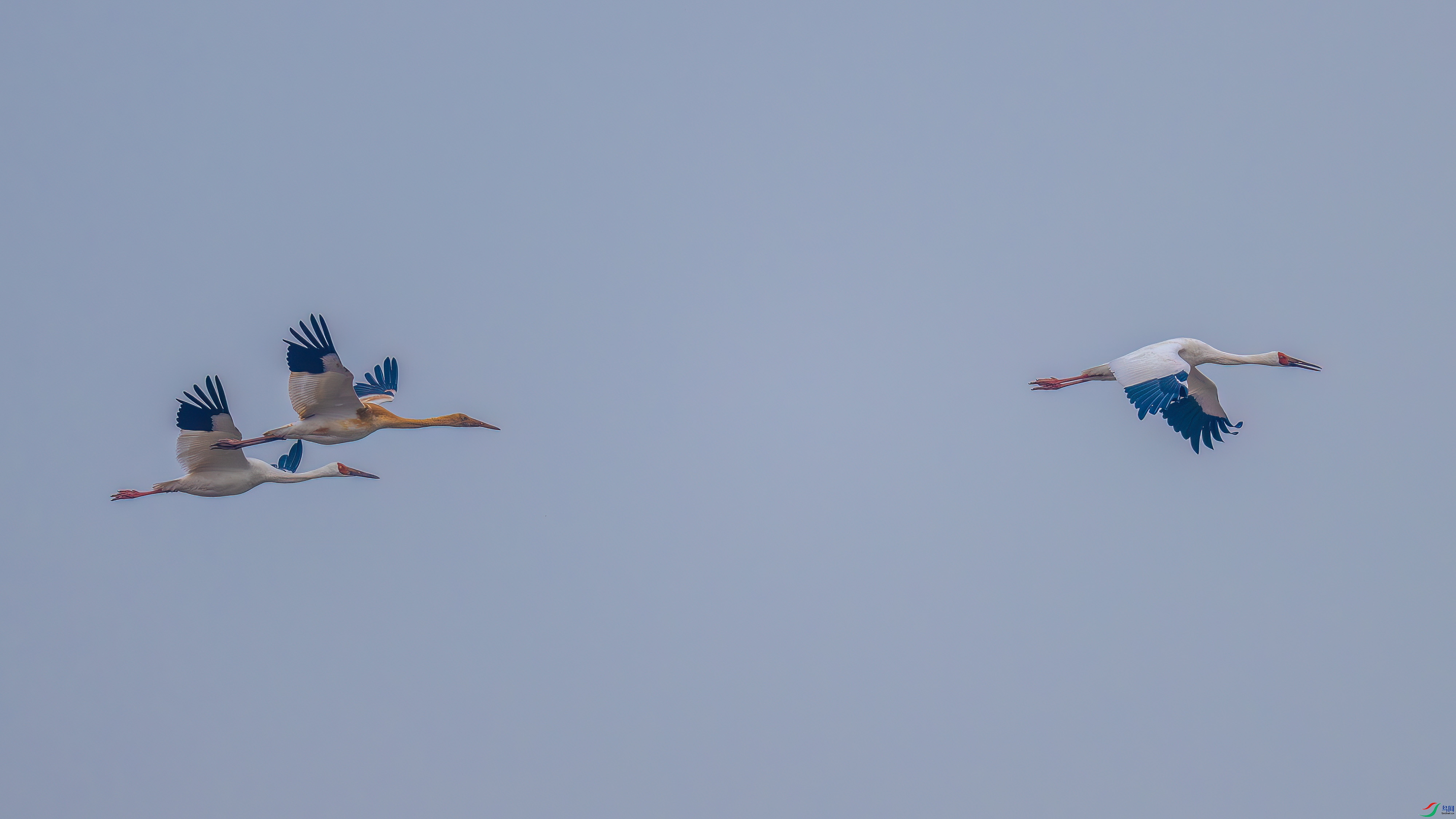 DSC_2133.jpg