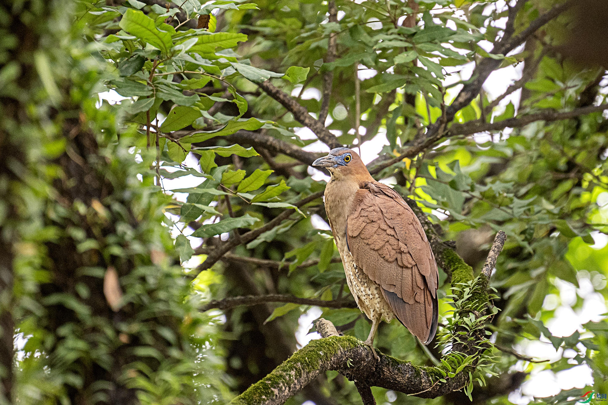 DSC_7857g.jpg