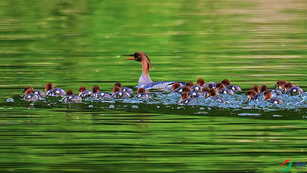 �����л���ɳѼ���ɽ��ӵ�����