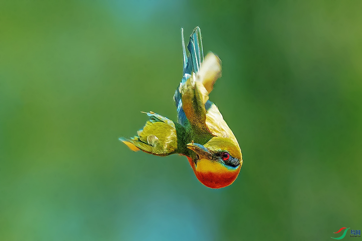 DSC_7842-����ǿ.jpg