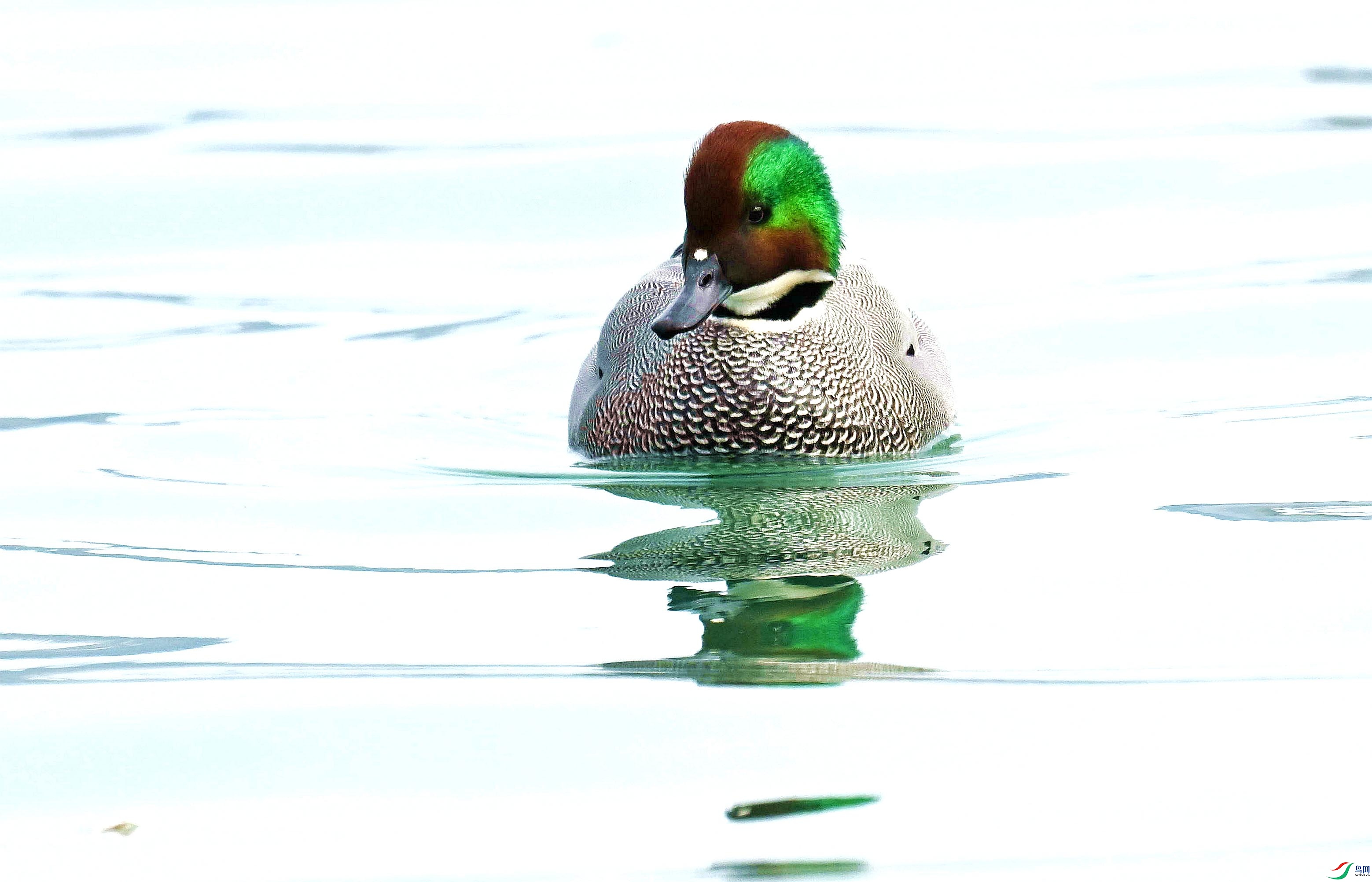 DSC_8057_����.jpg
