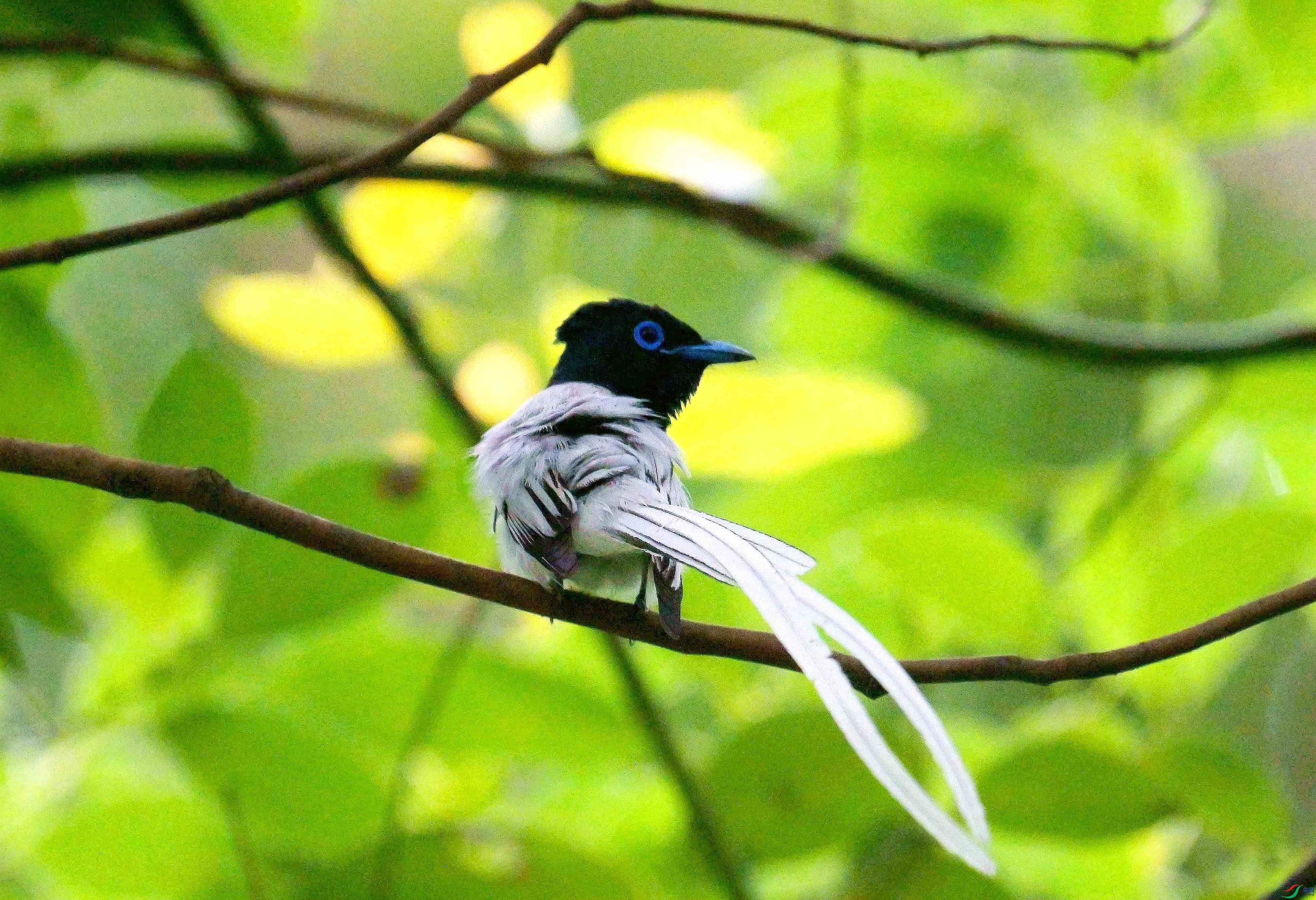 DSC_9188.jpg