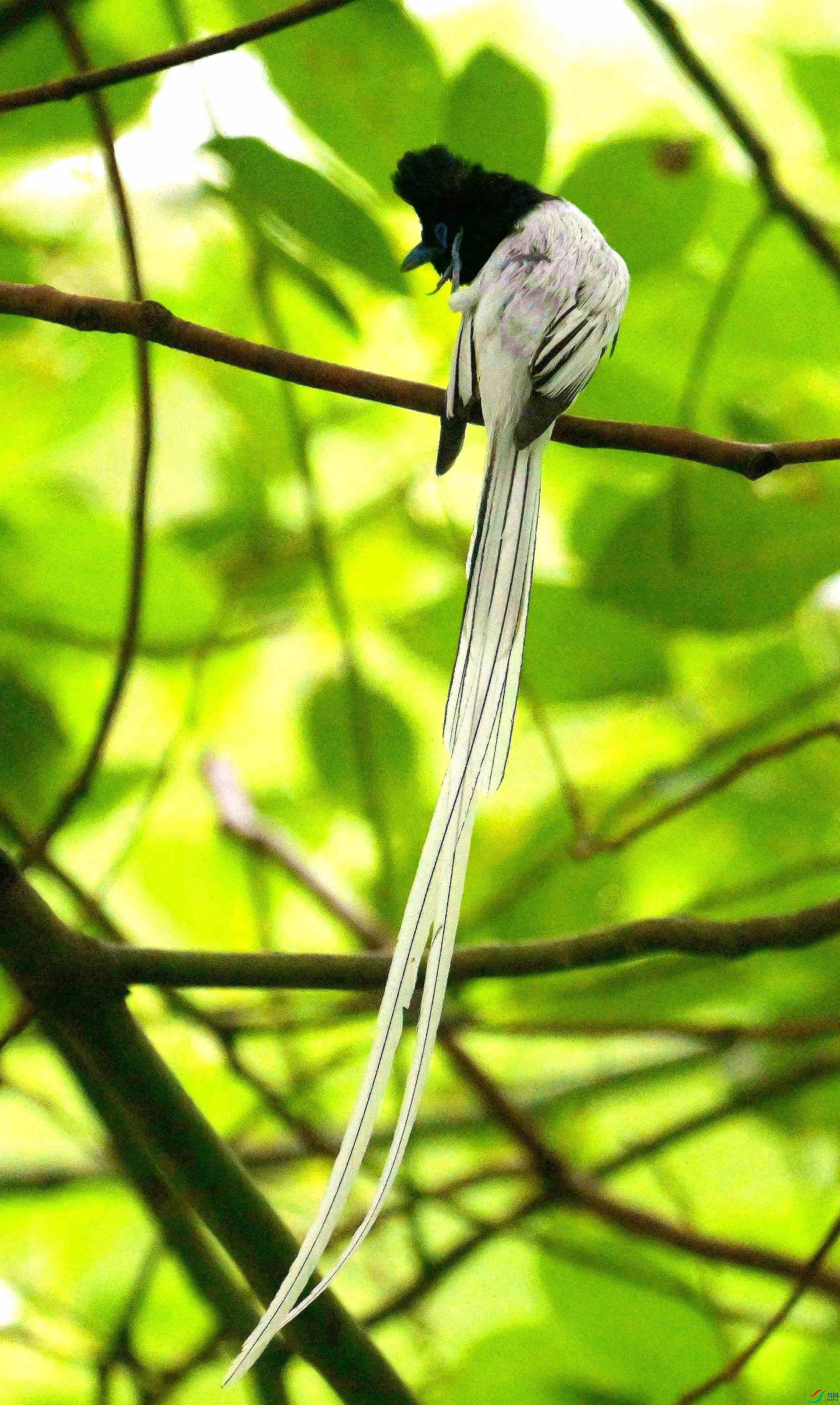 DSC_9134.jpg