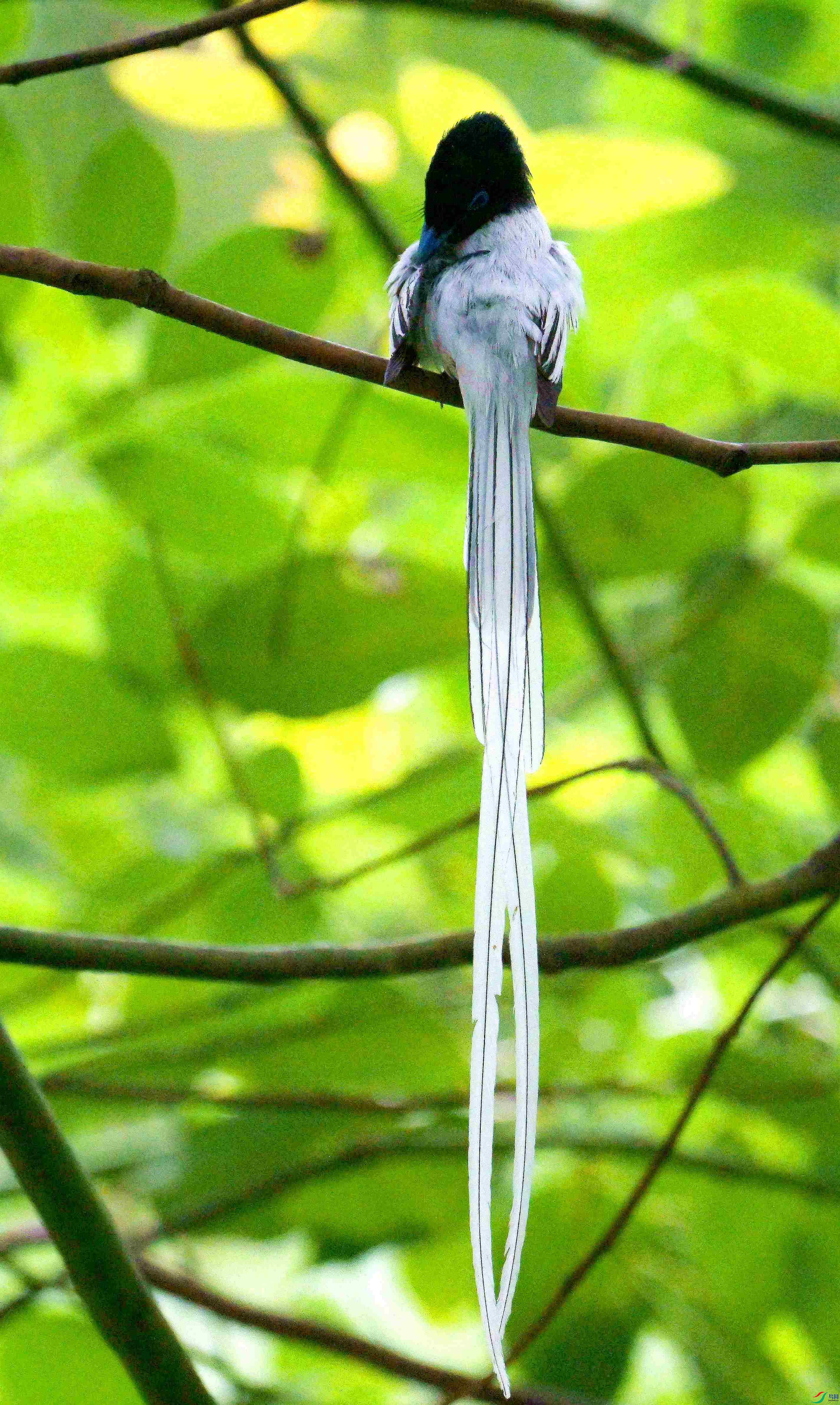DSC_9151.jpg