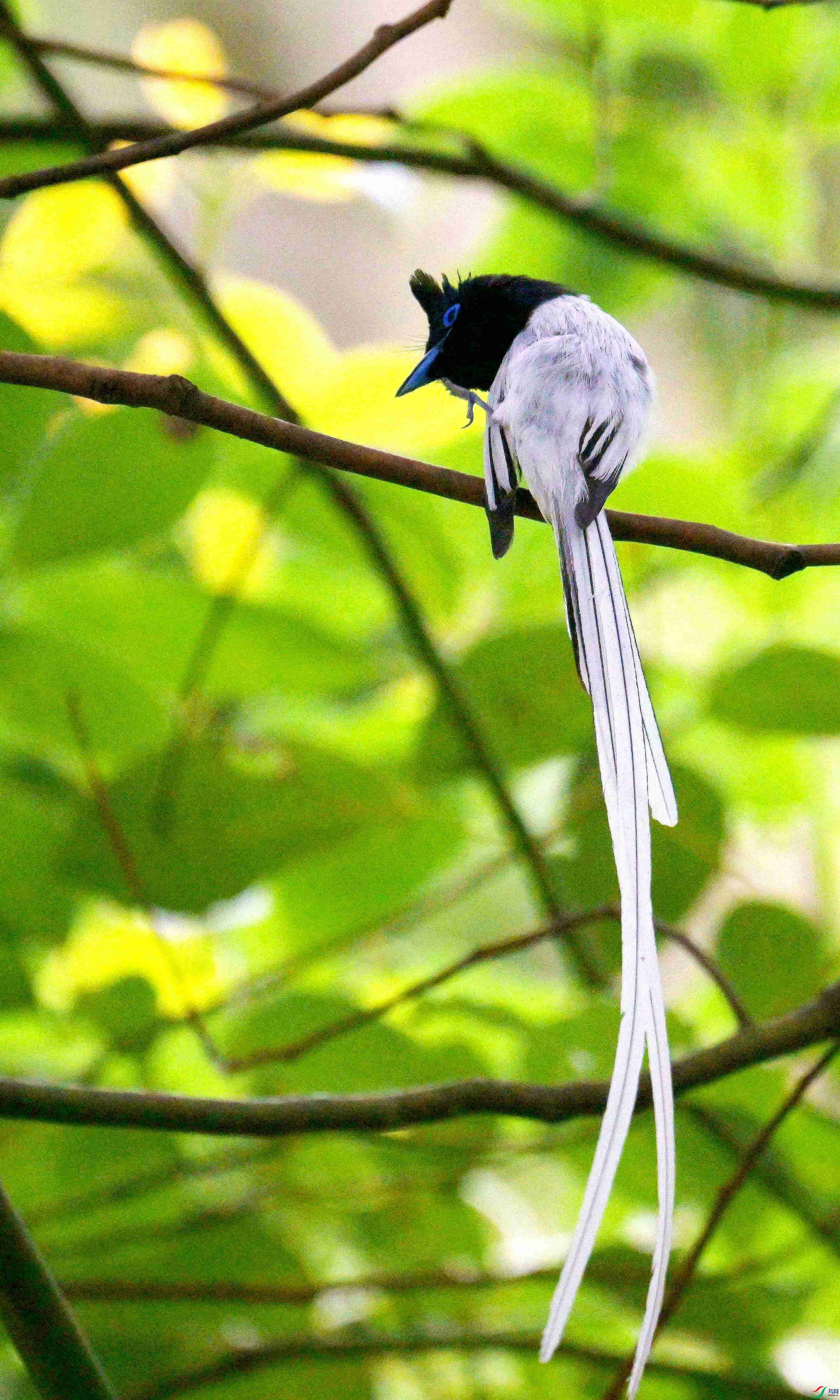 DSC_9307.jpg