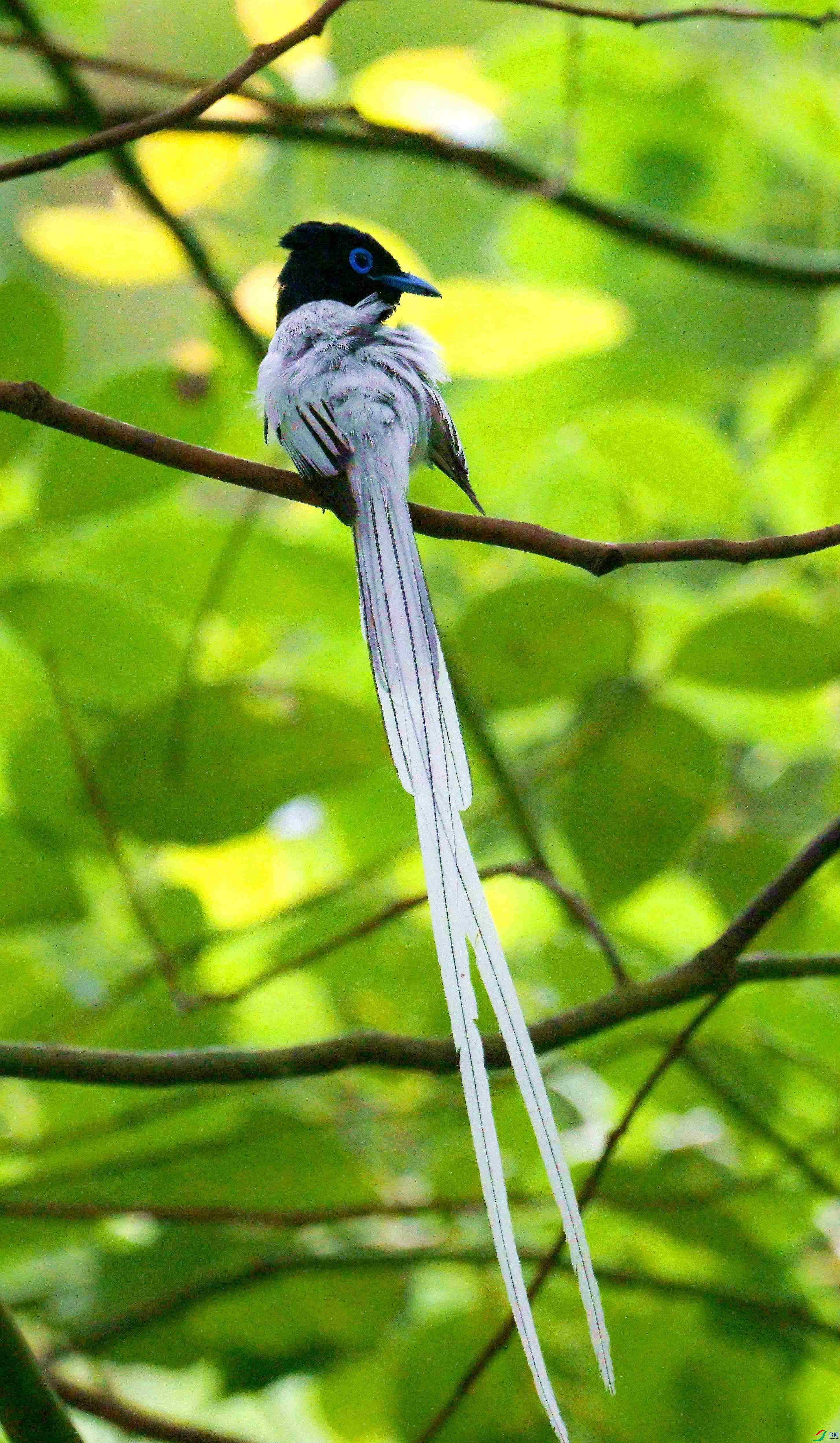 DSC_9169.jpg