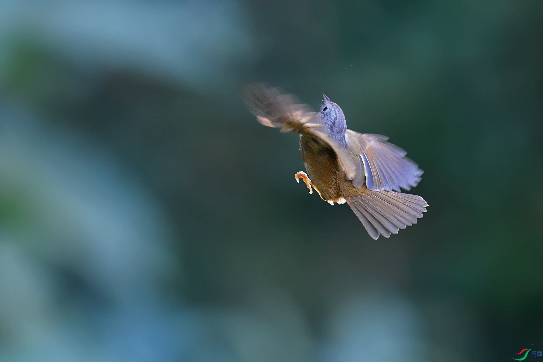 DSC_0065_DxOa.jpg