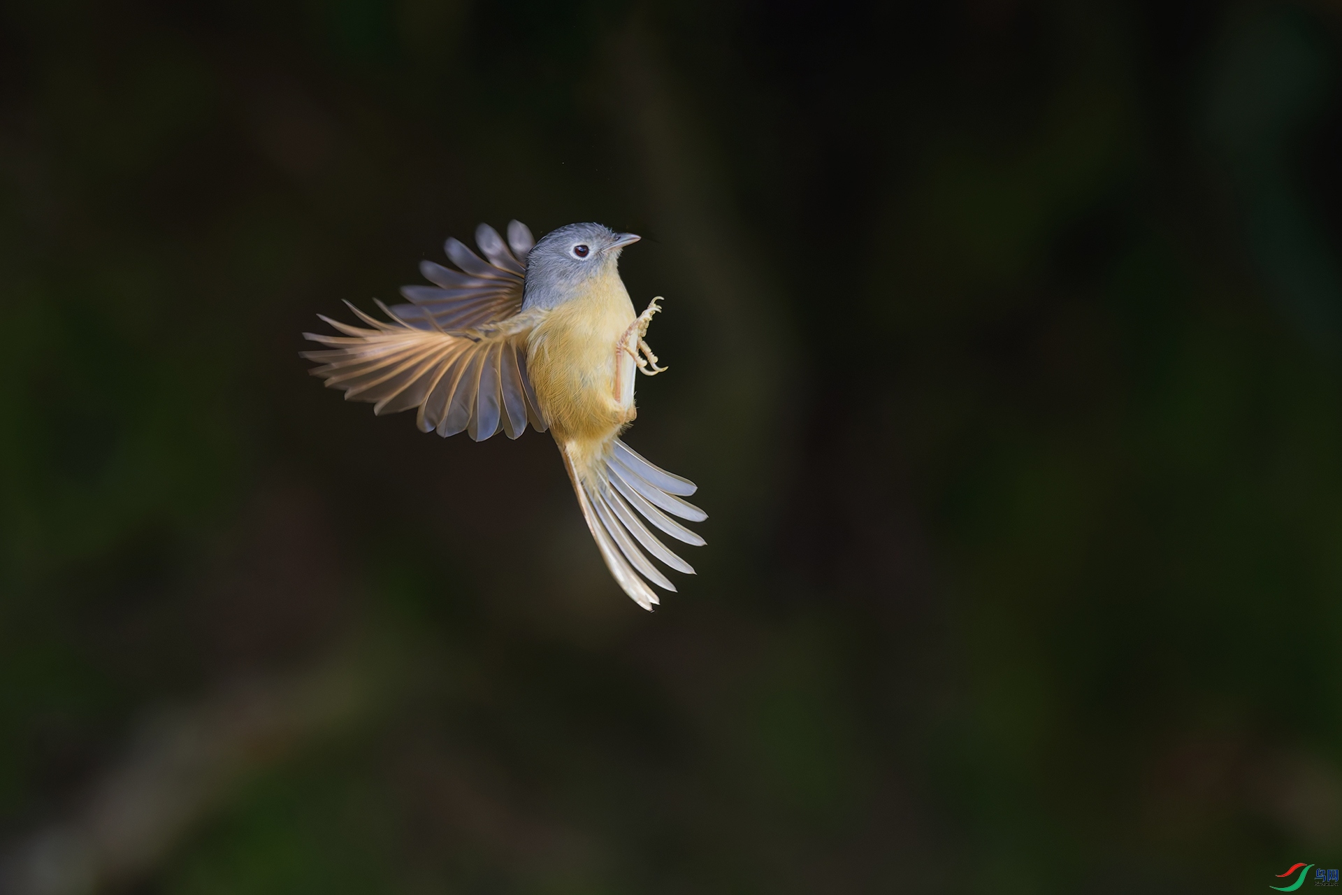 3DSC_7701_DxO_DxOa.jpg
