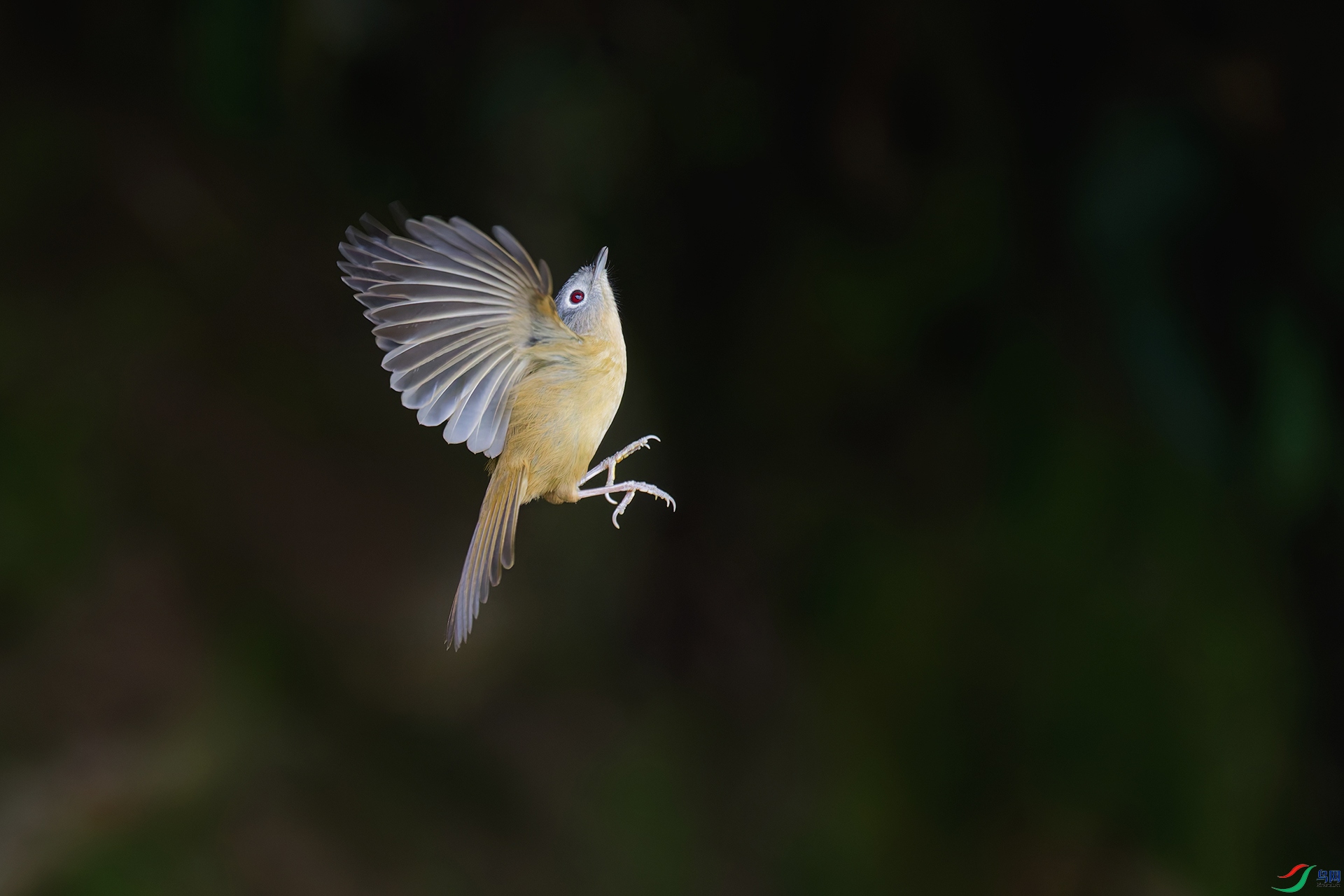 2DSC_8103_DxO_DxOa.jpg
