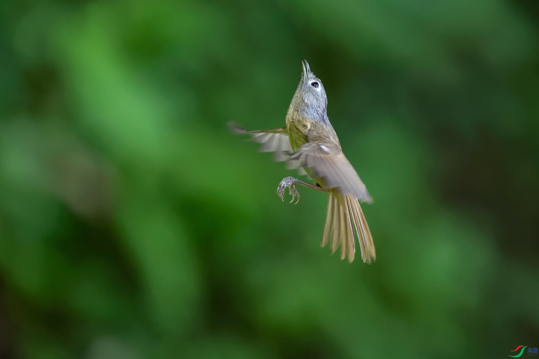 1DSC_0441_DxOa.jpg
