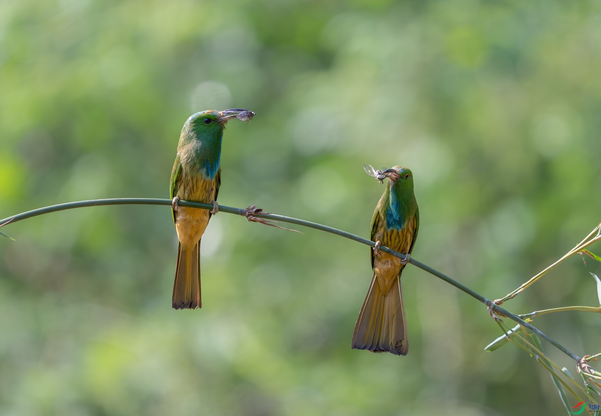 DSC_4380-1.jpg