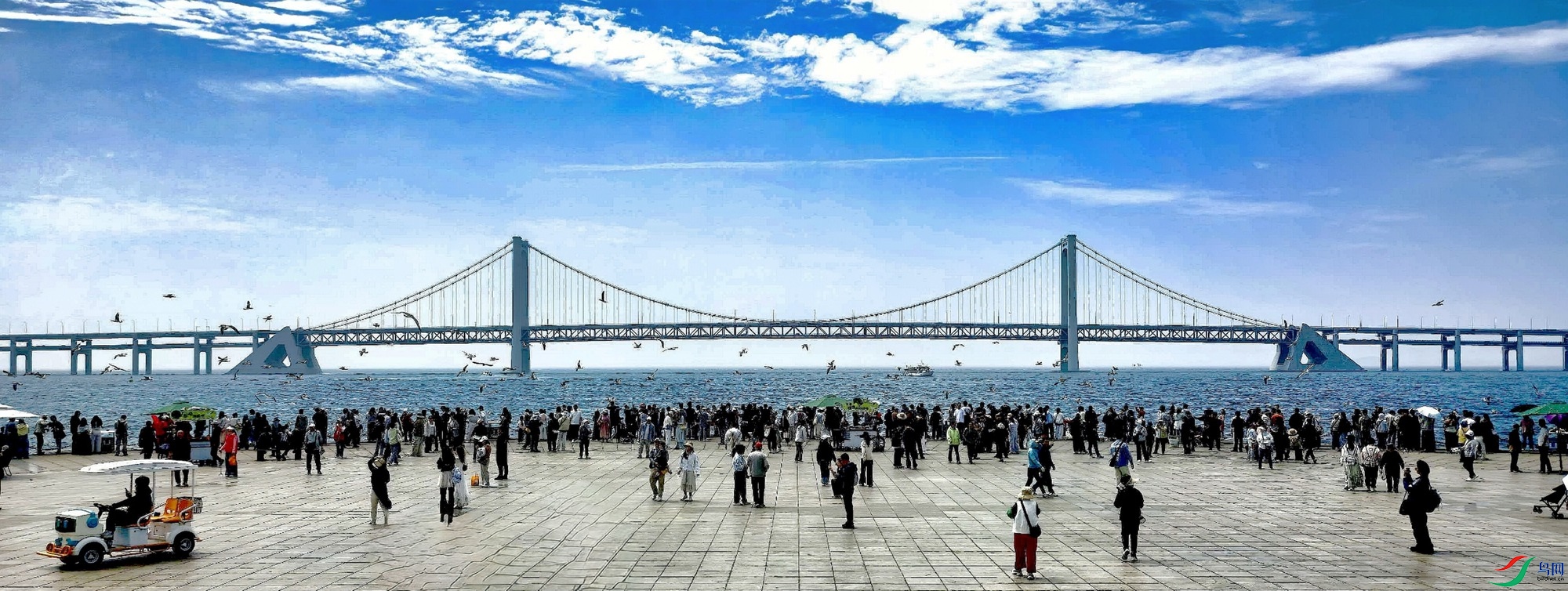 �����纣����
