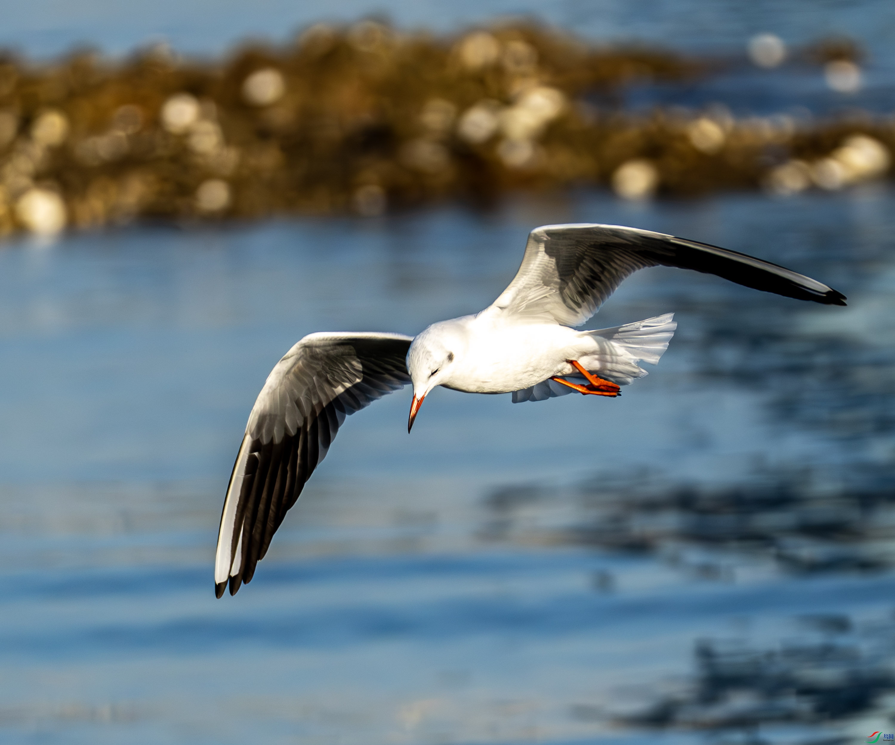 ����Ÿ-01-34.jpg