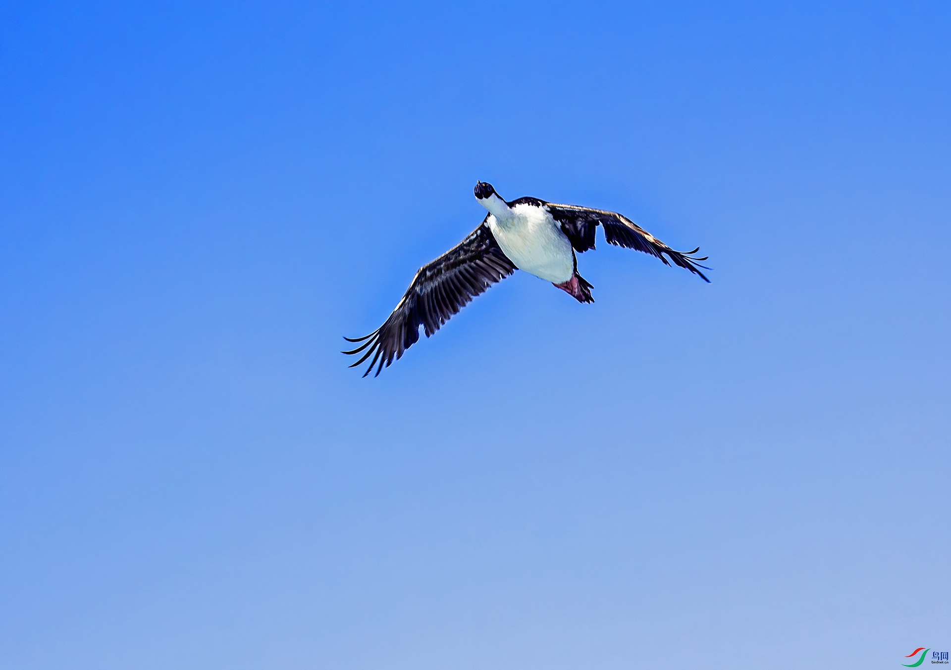 IMG_8899-6x.jpg