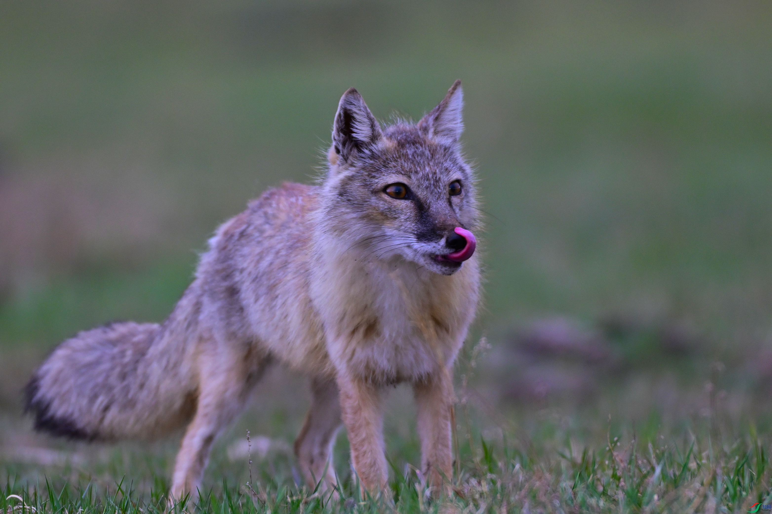 DSC_0872.JPG