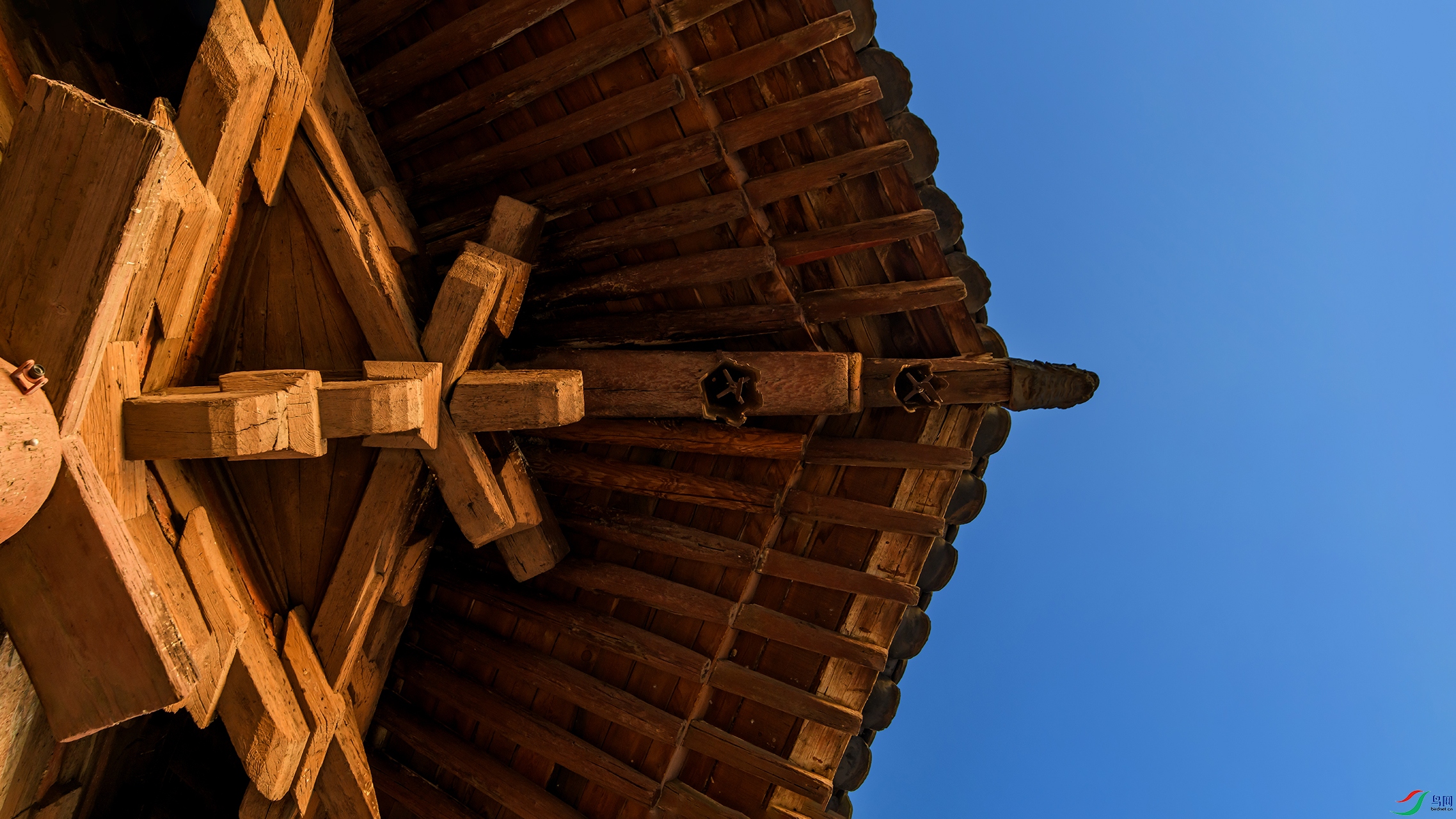 DSC_2691-20260414�ü�.jpg