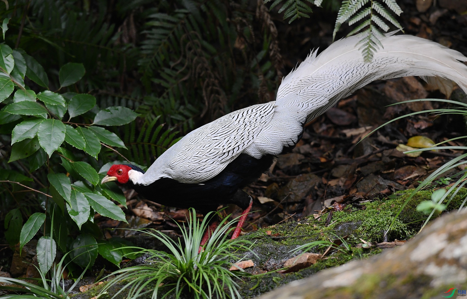 DSC_2821.jpg
