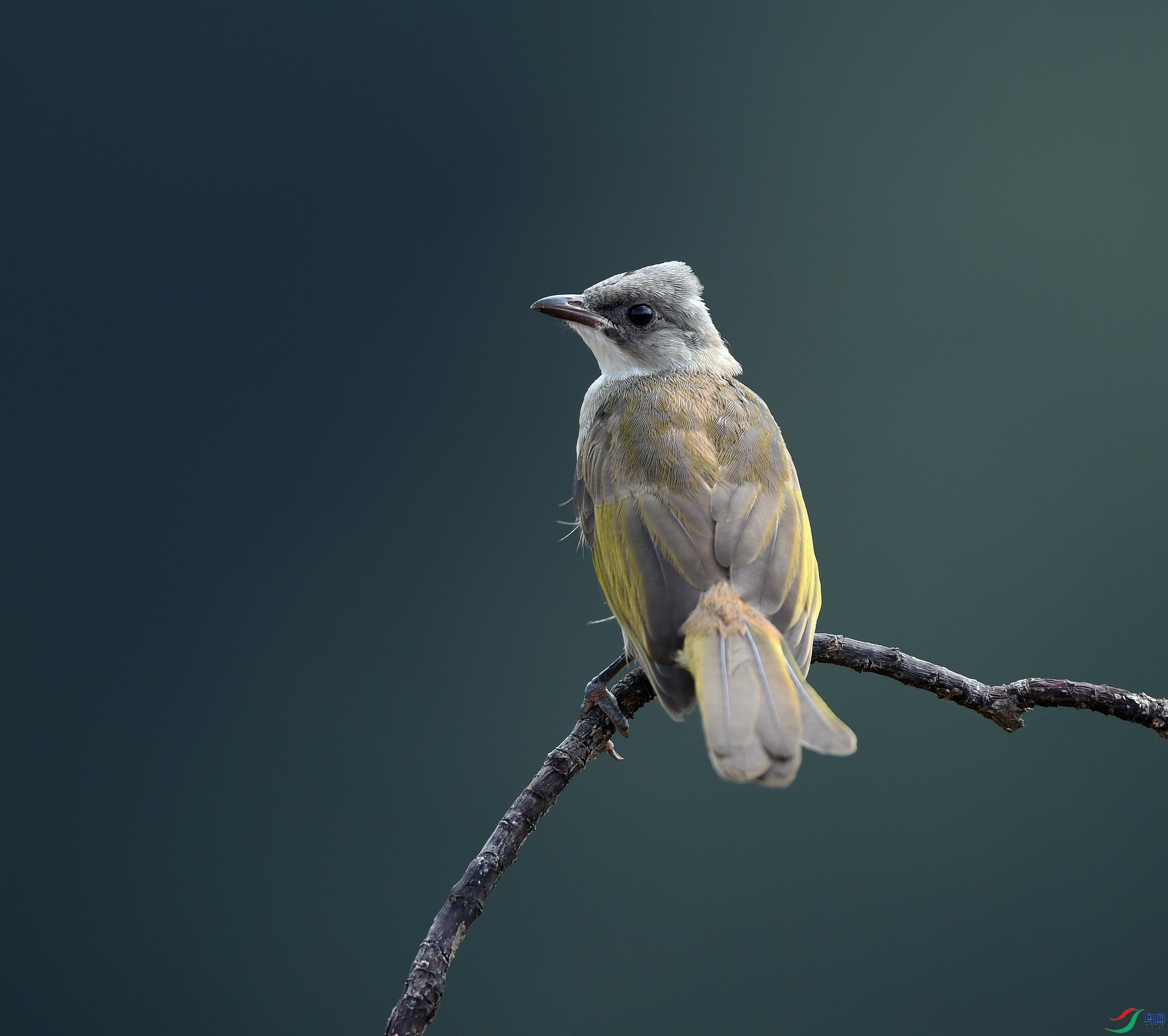 DSC_2533.jpg