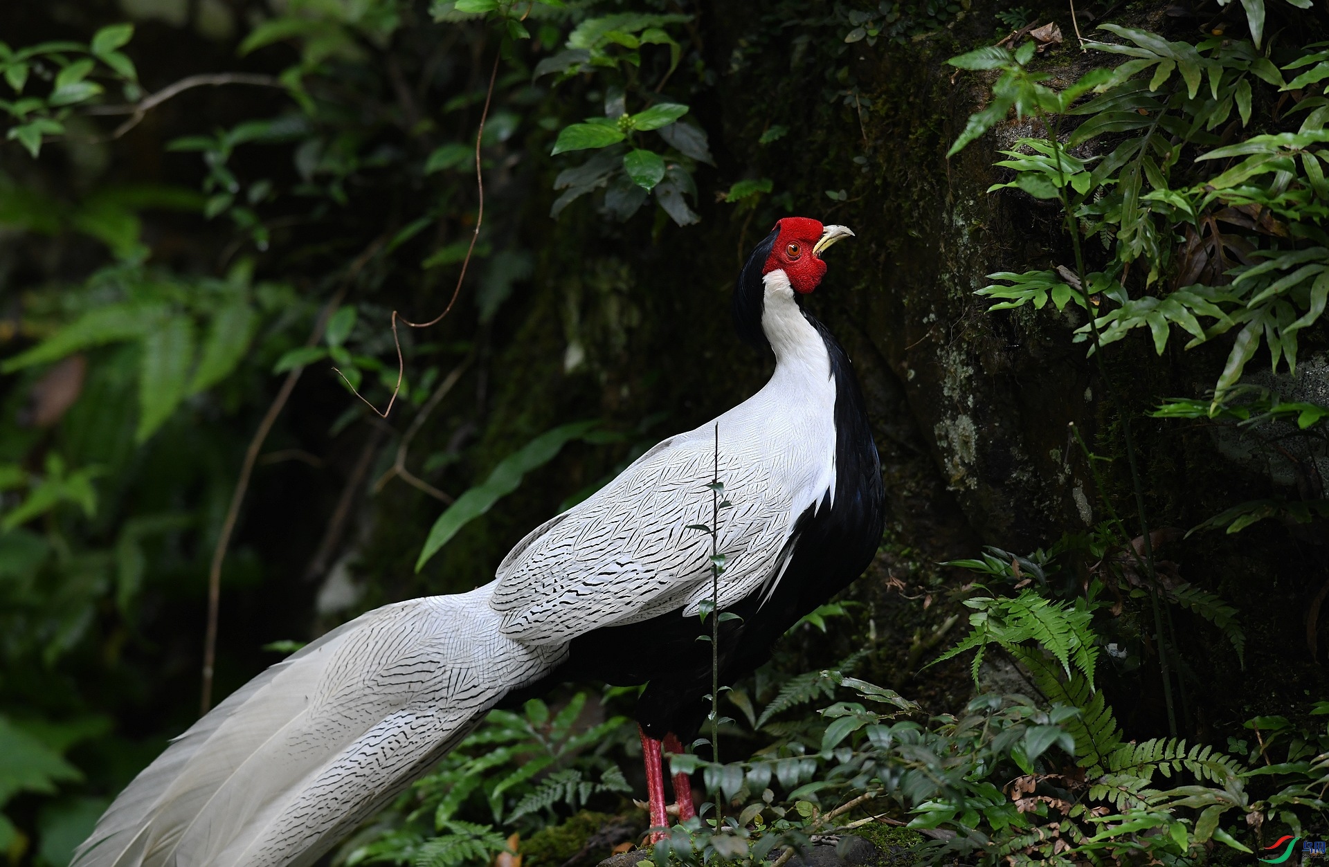 DSC_2866.jpg