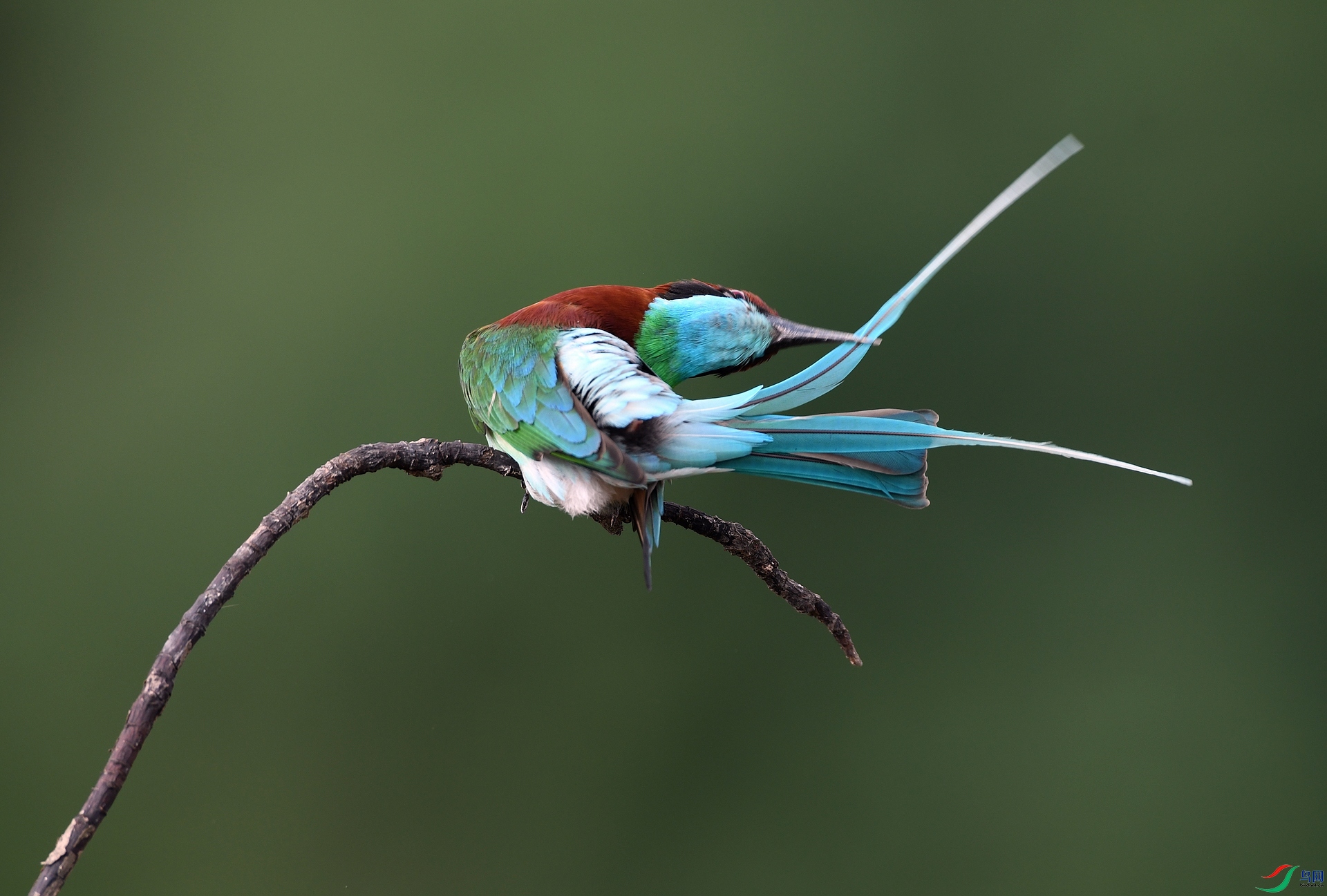 DSC_1578.jpg