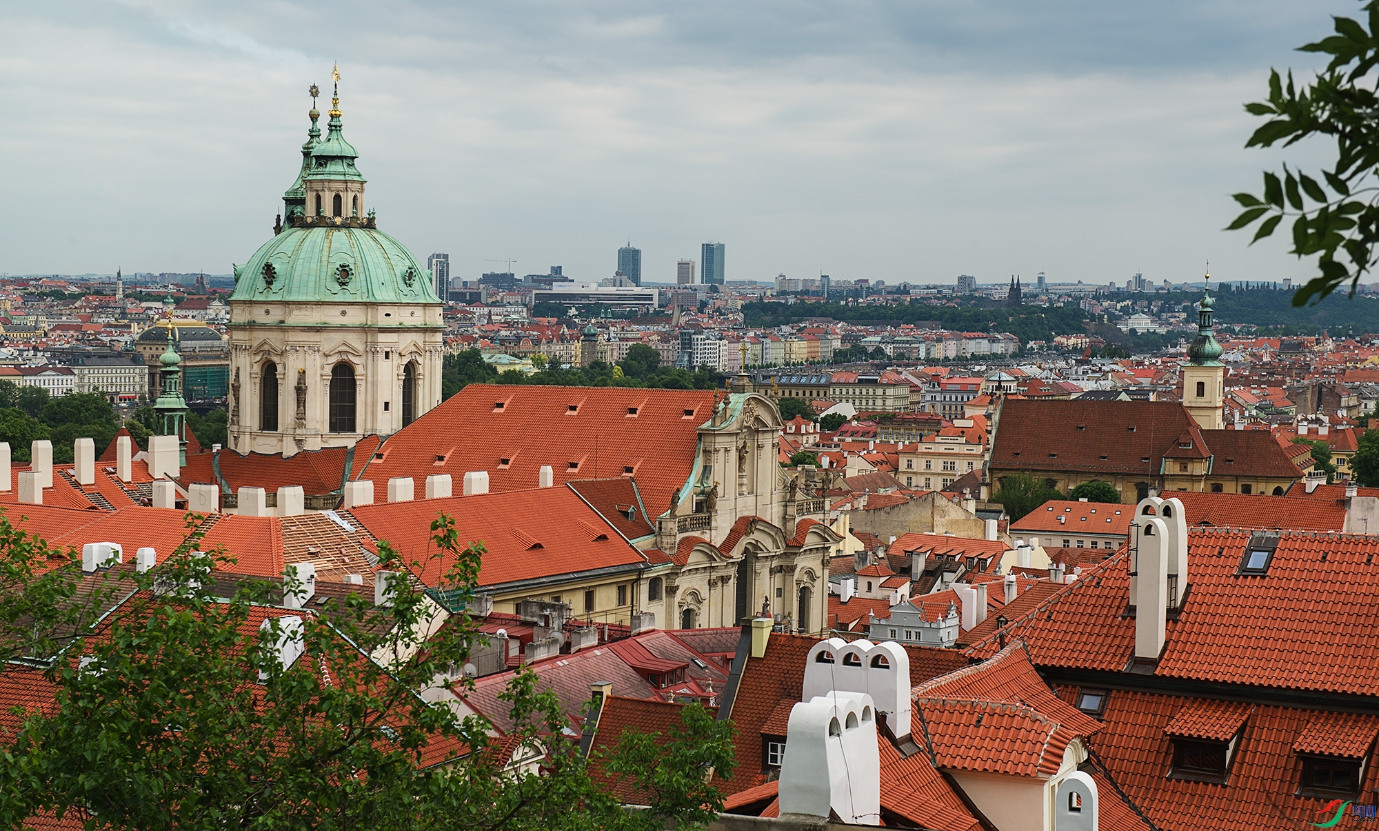 _DSC2927a.jpg