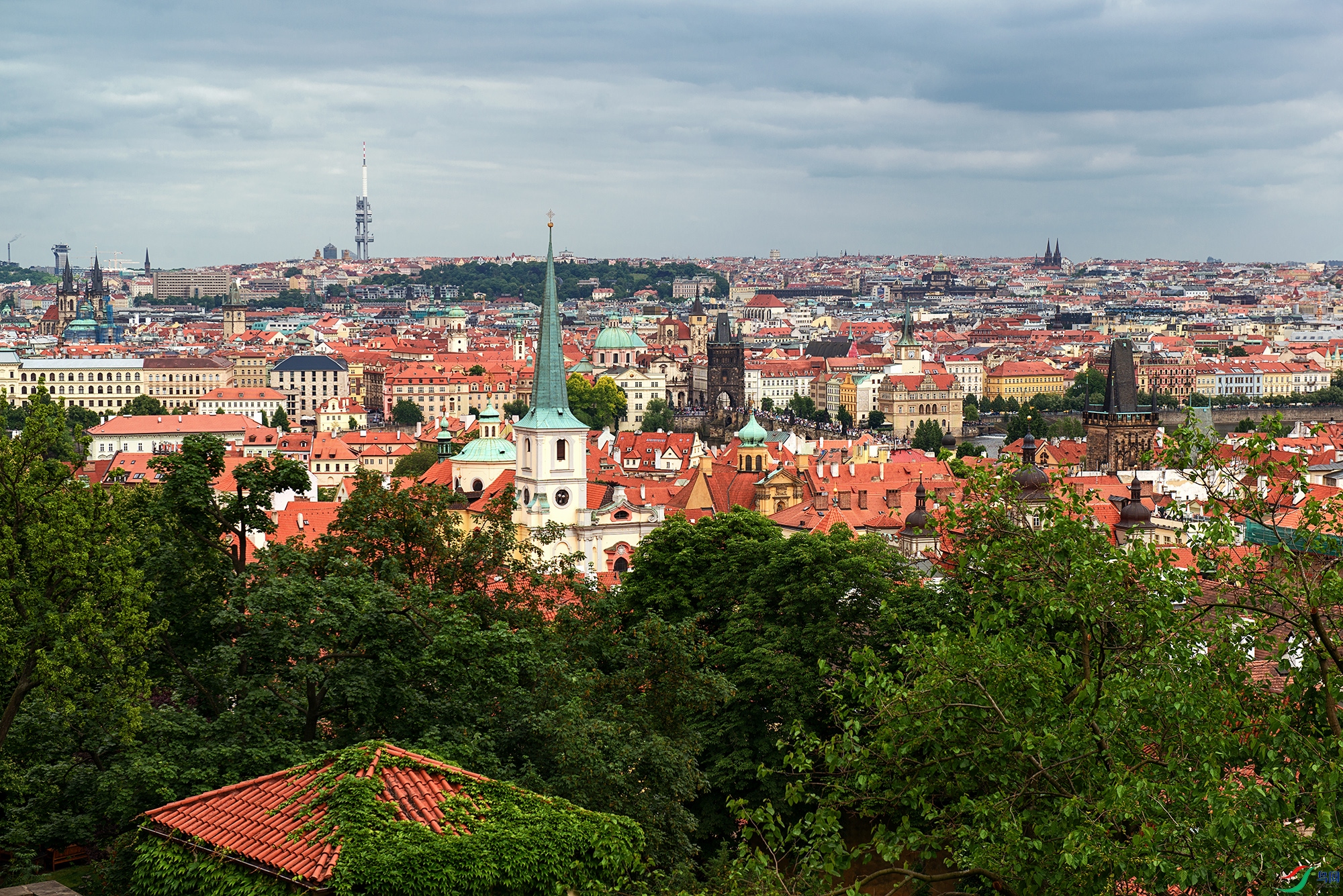 _DSC2925a.jpg
