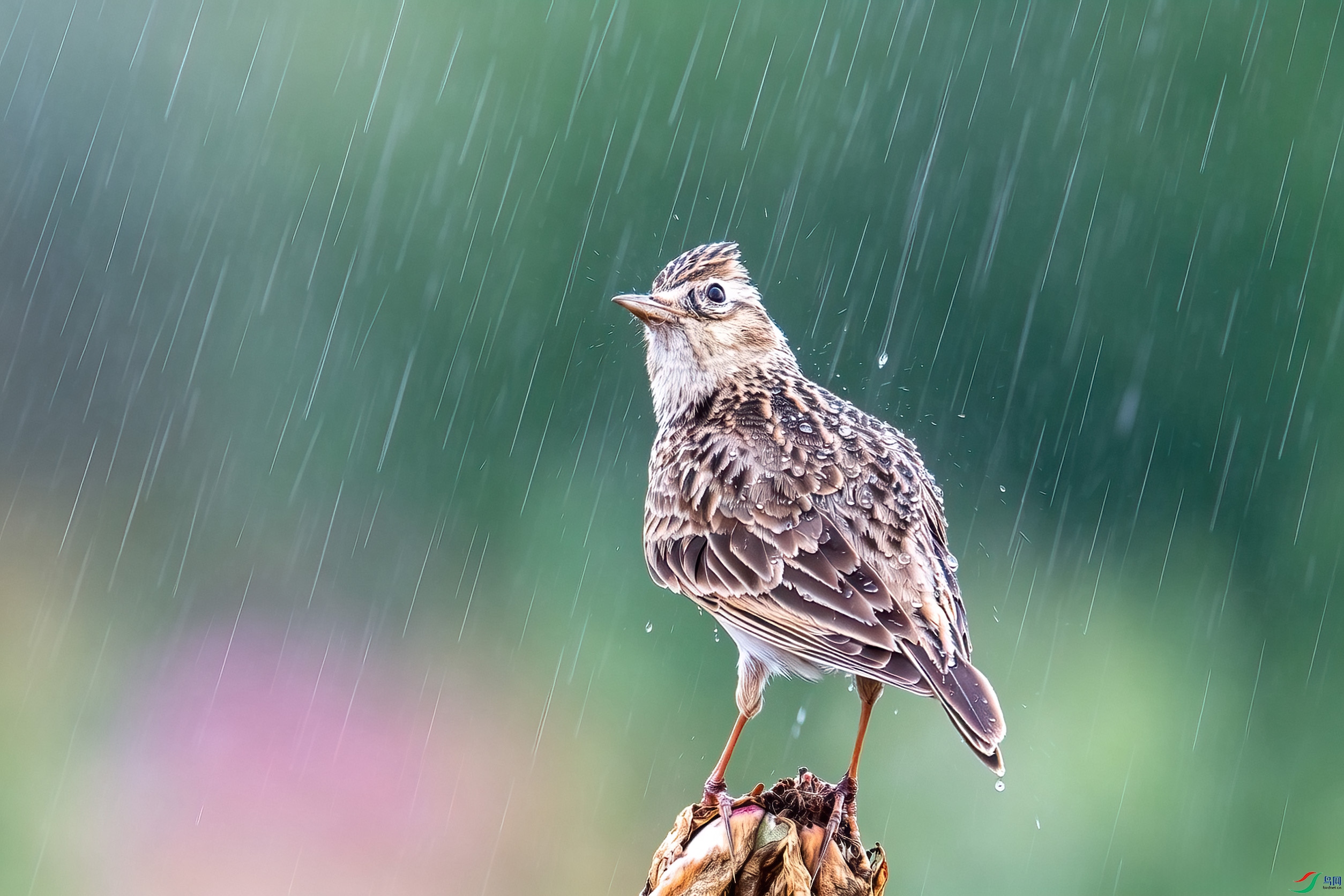 ����ͼ.jpg