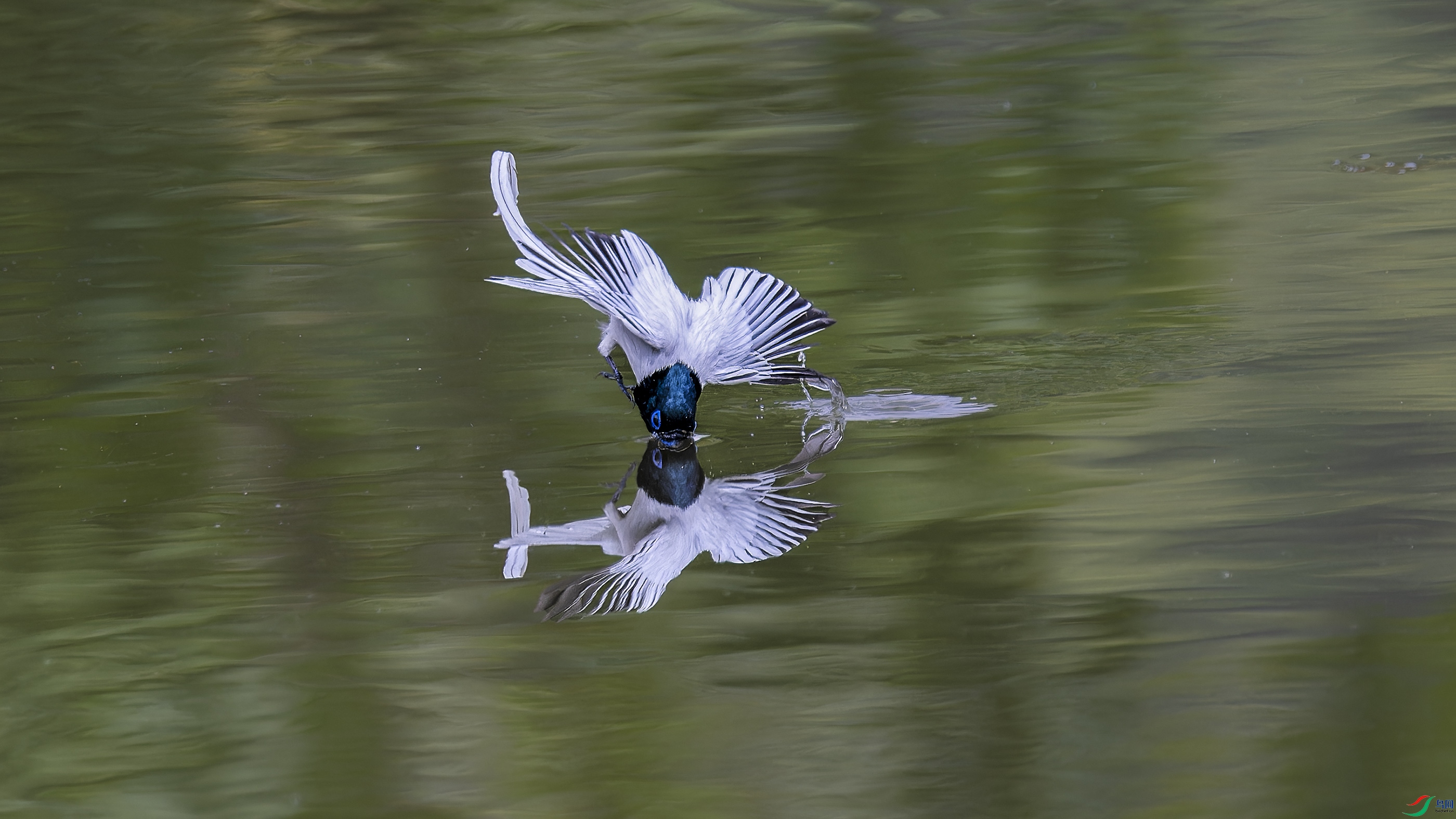 DSC_3727_DxO.jpg