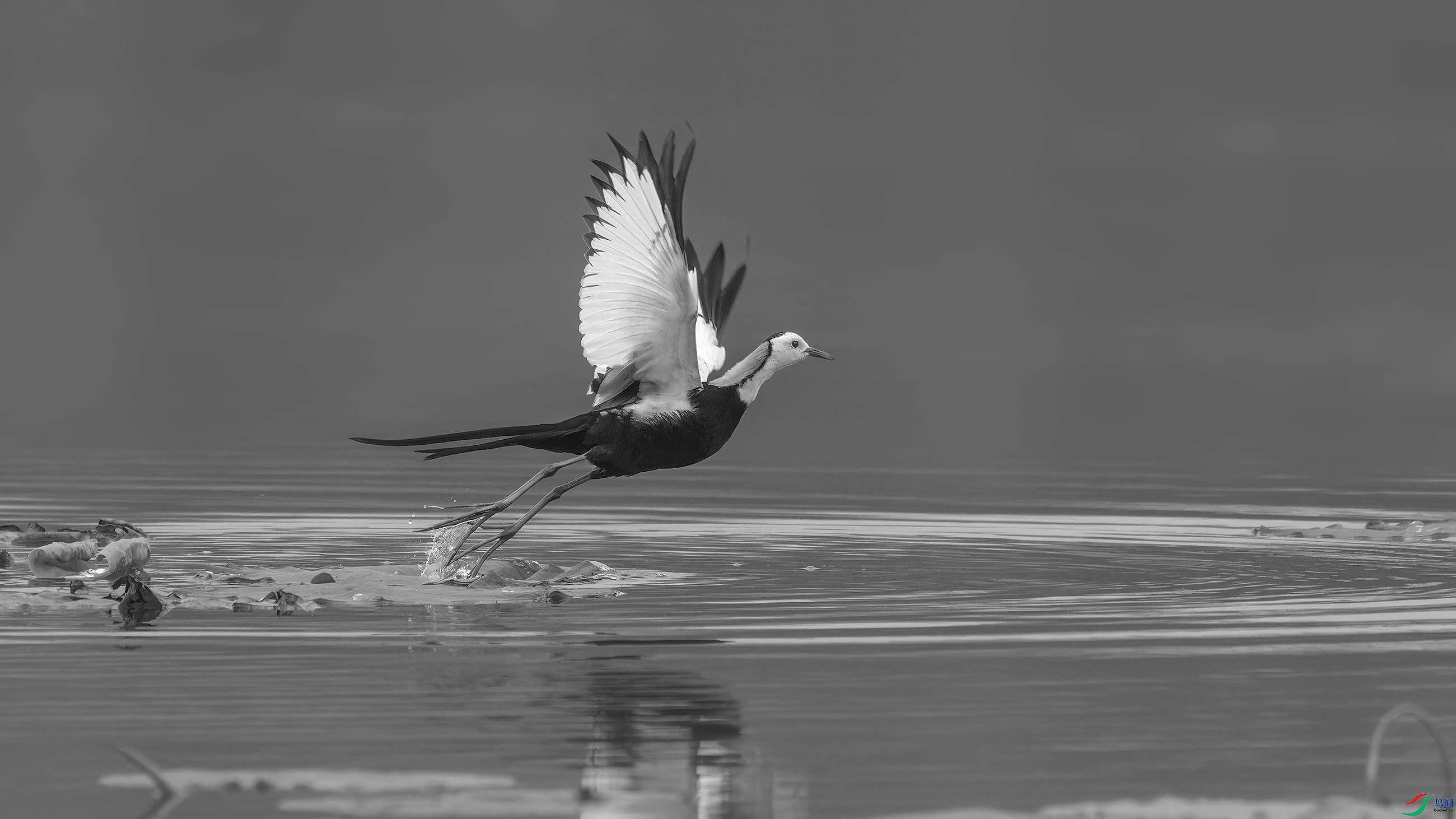 DSC_6640_DxO.jpg