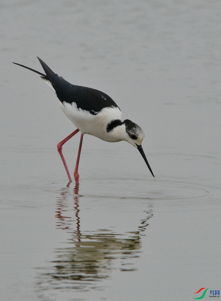 DSC_3479.jpg