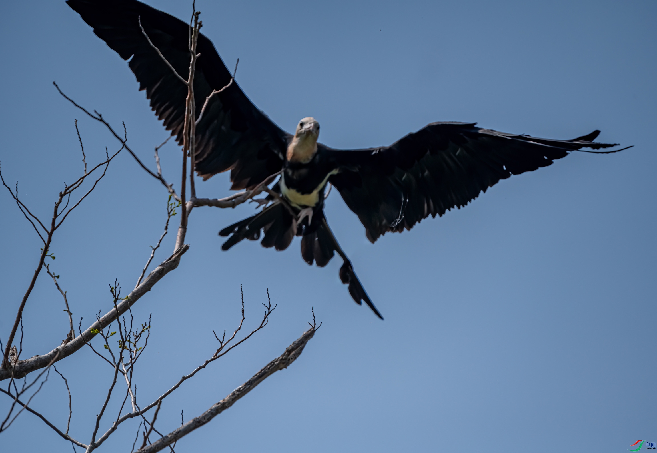 _DSC2428-11.jpg