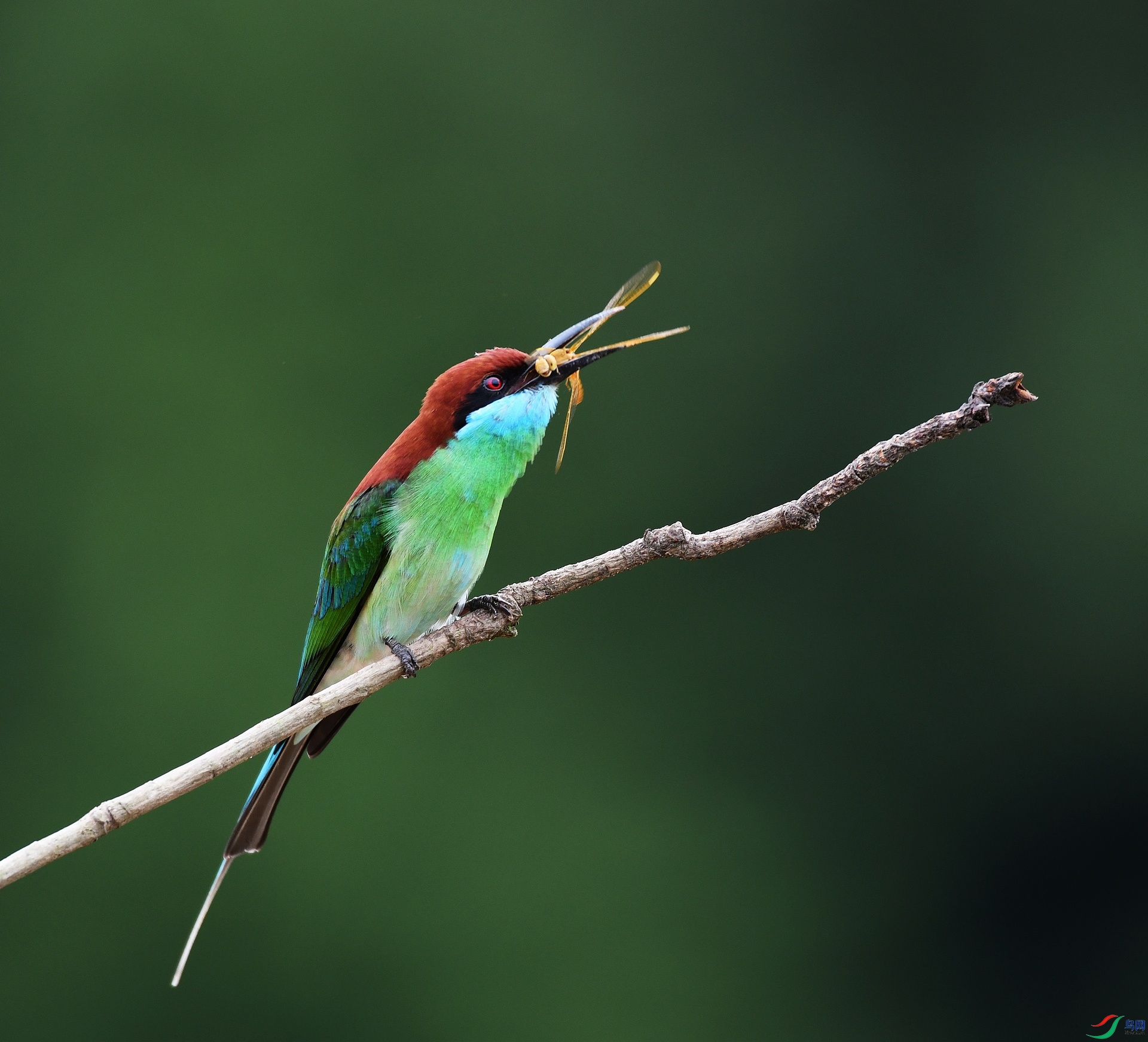 DSC_5710.jpg