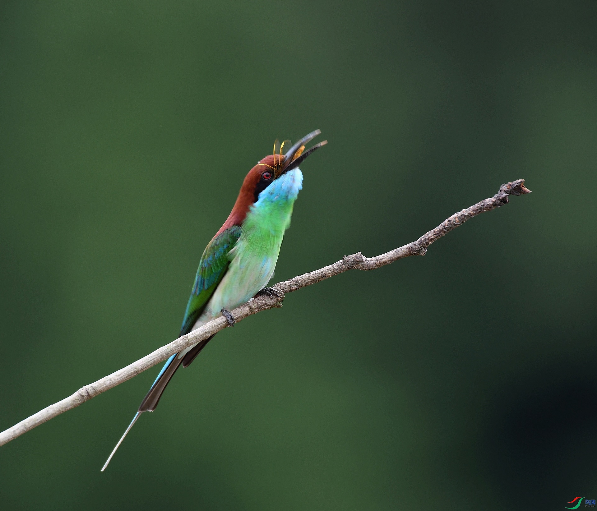DSC_5712.jpg