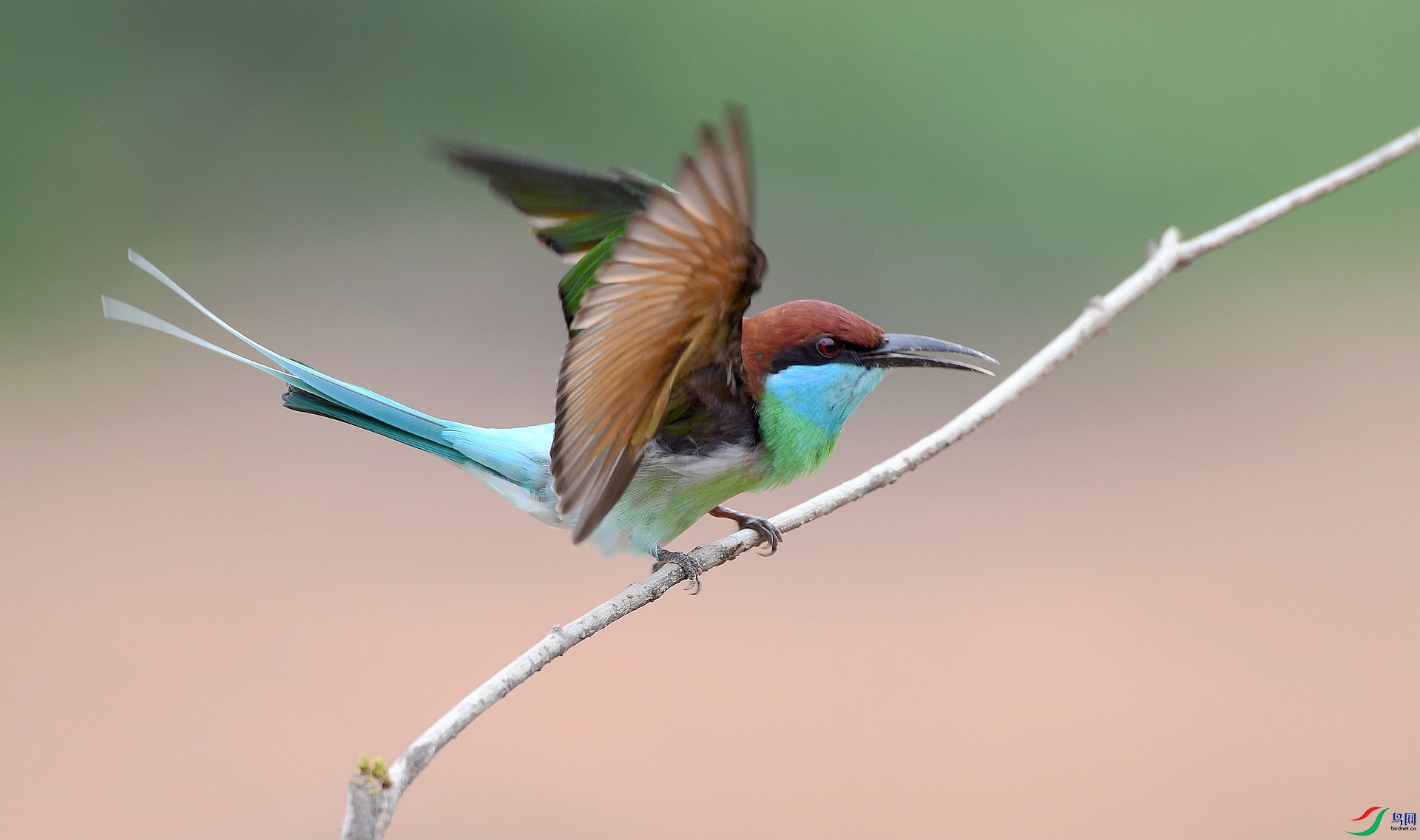 DSC_5765.jpg