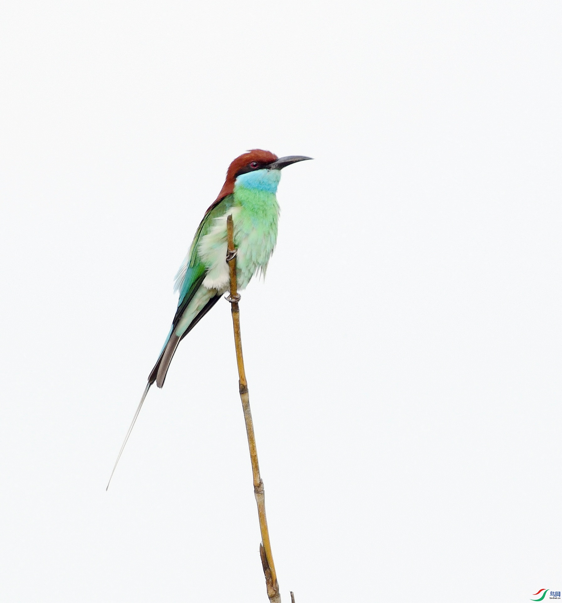 DSC_3082.jpg