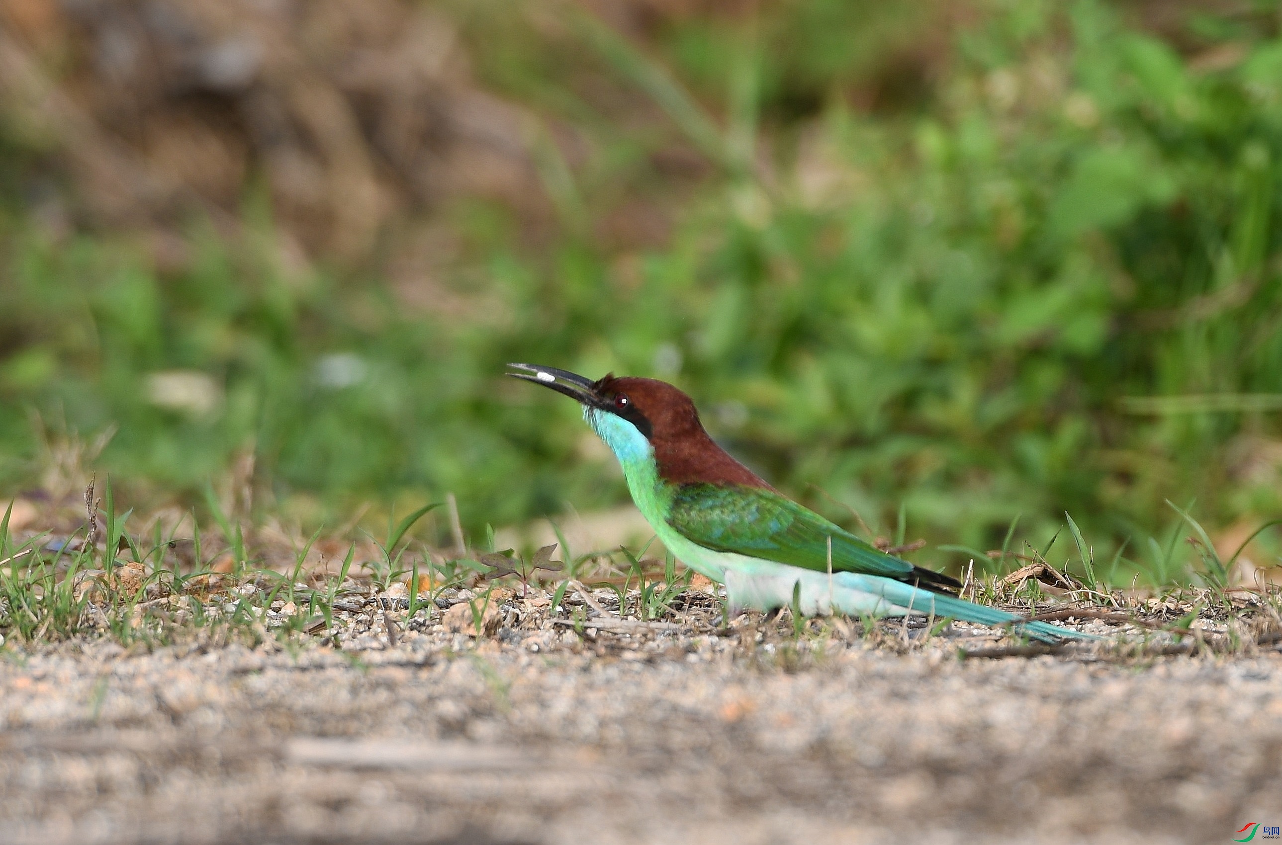 DSC_3151.jpg