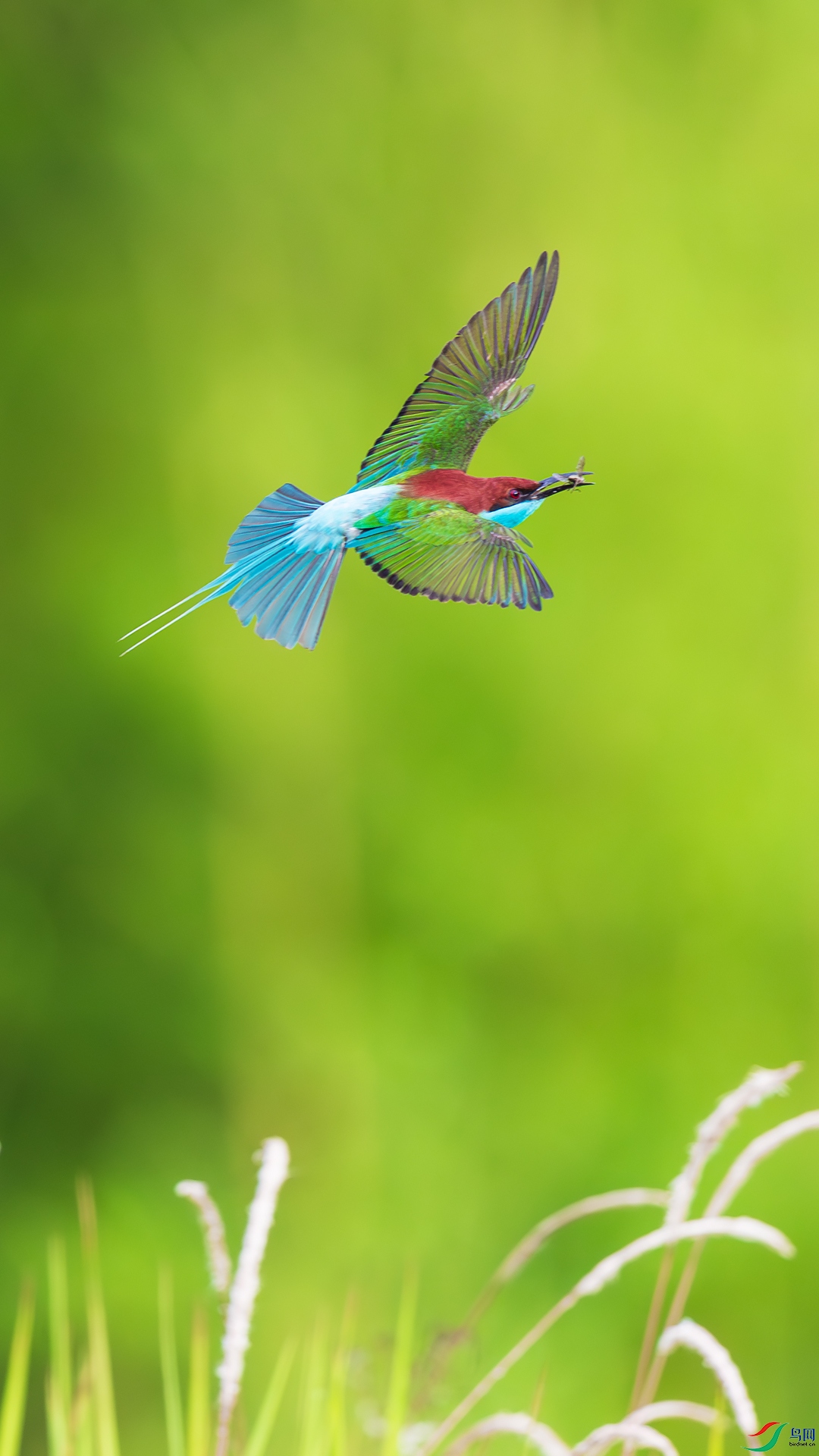 _F9A4767 ����.jpg