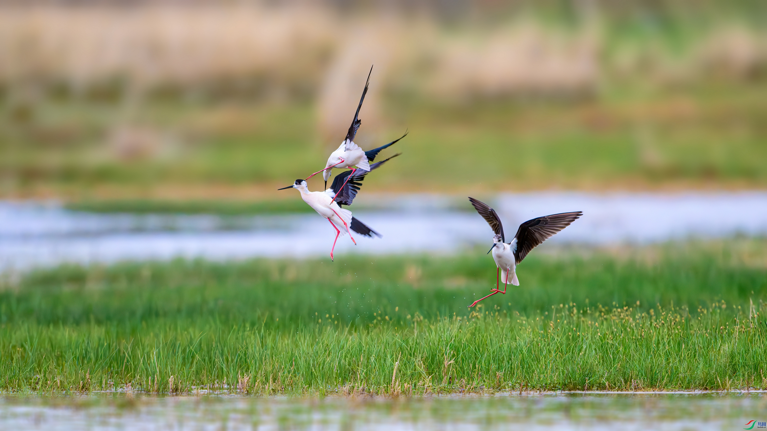 ��Ƭ_DSC4581-����ǿ-NR.jpg