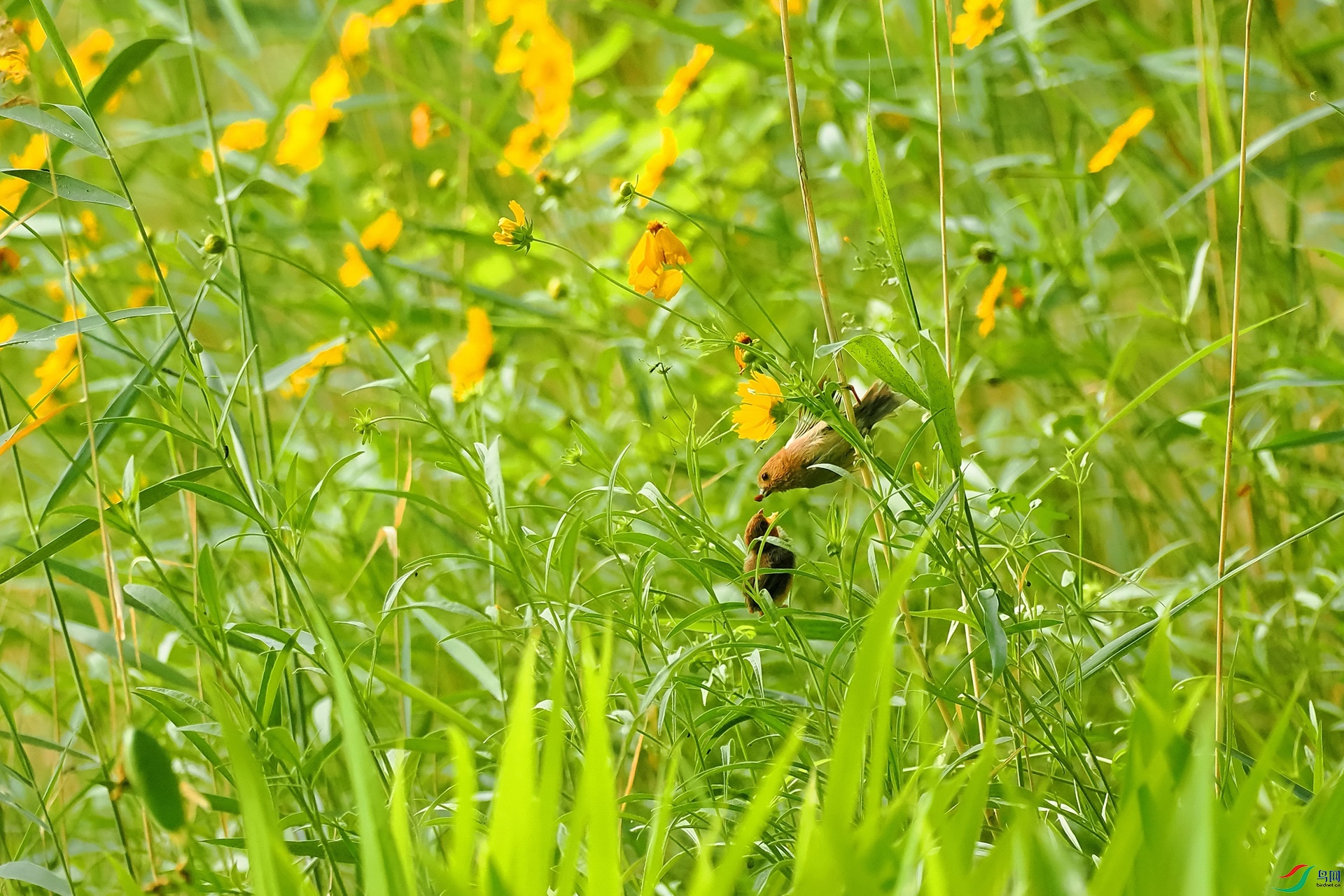 P5240289.JPG