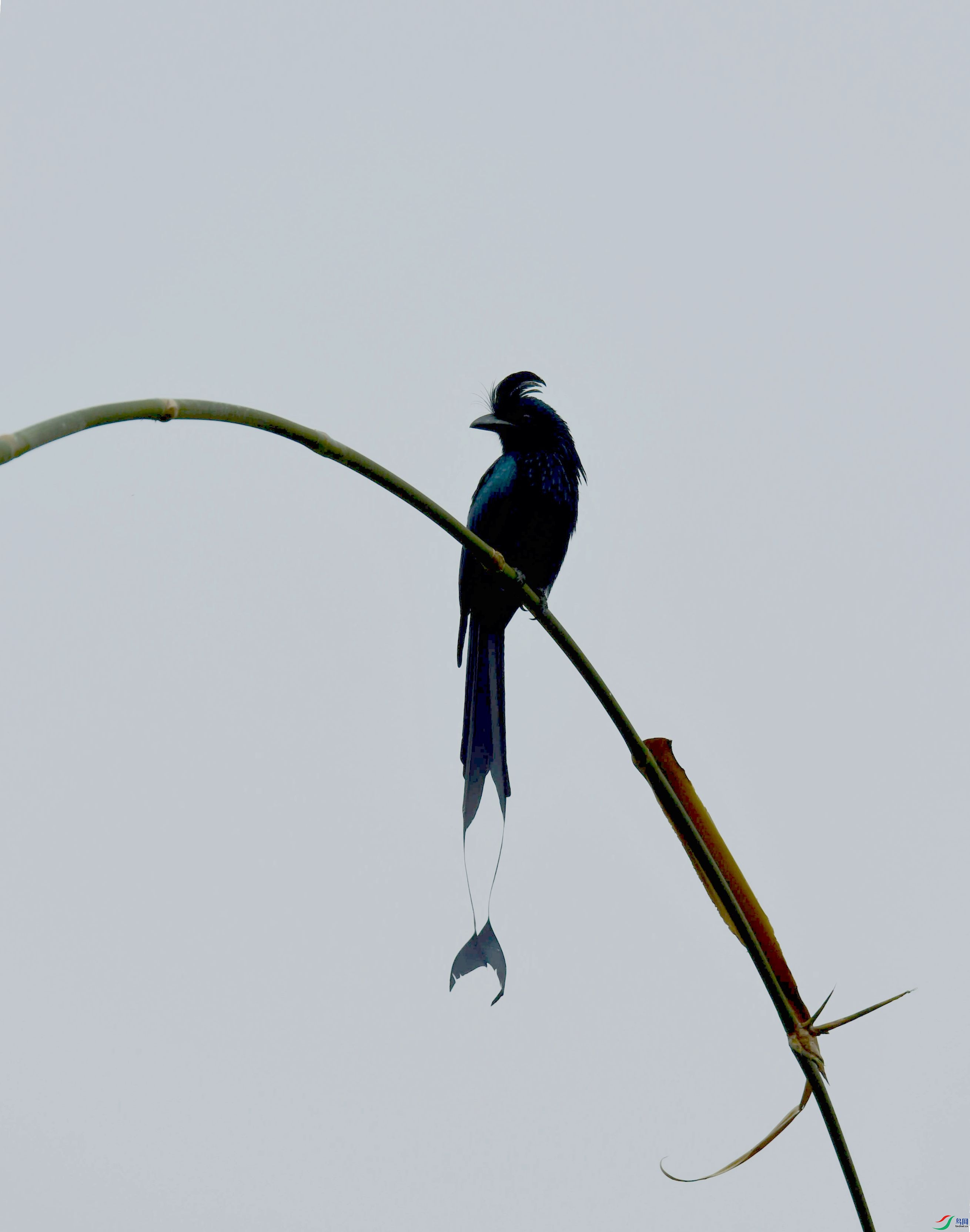 DSC_7235_����.jpg