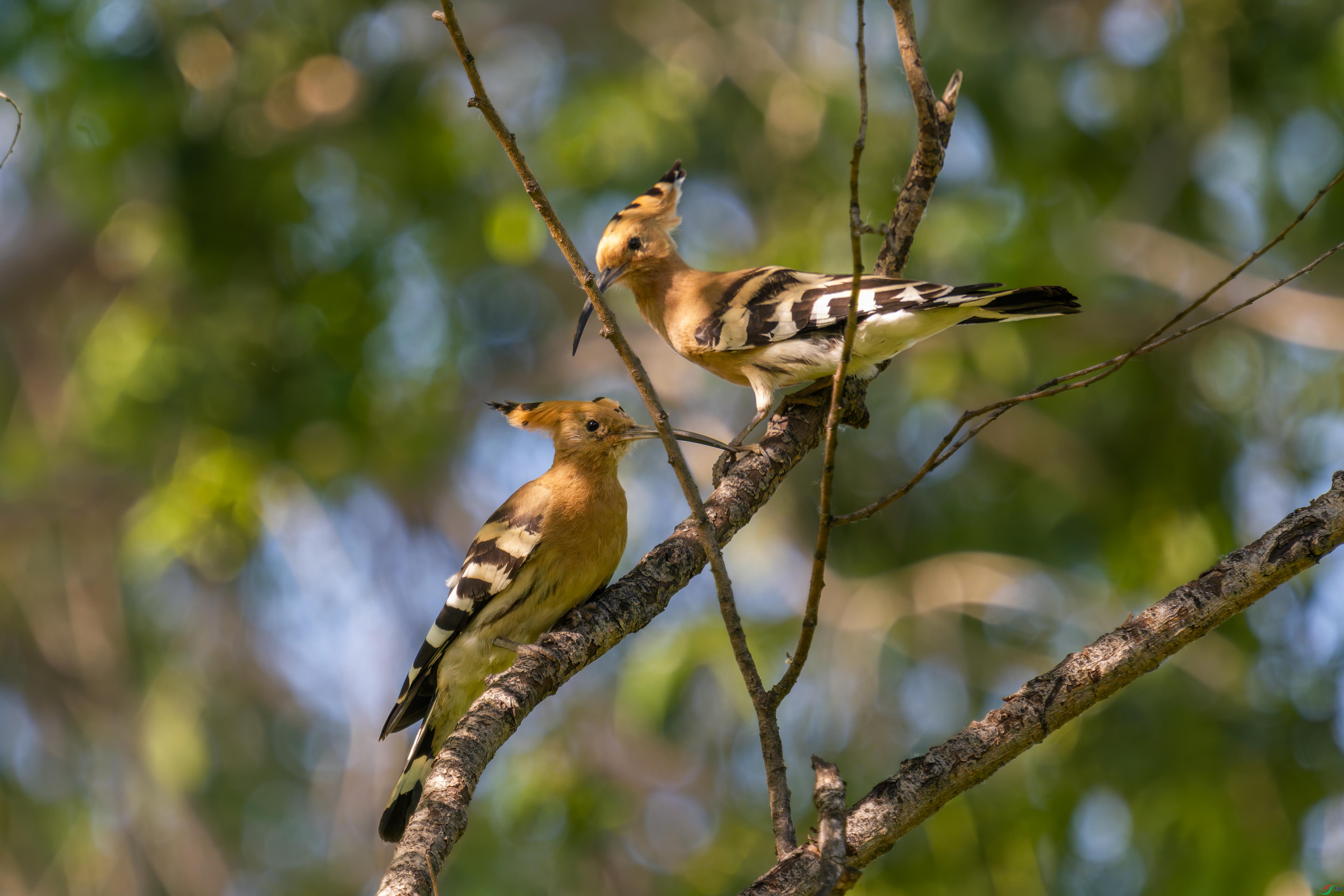 DSC_3546-001.jpg
