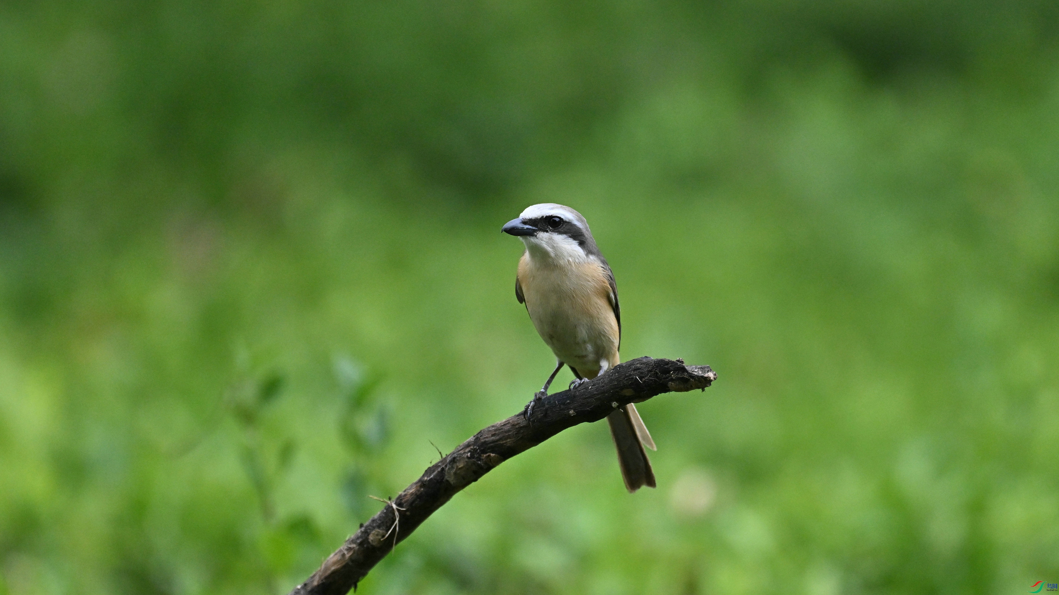 DSC_0996.JPG